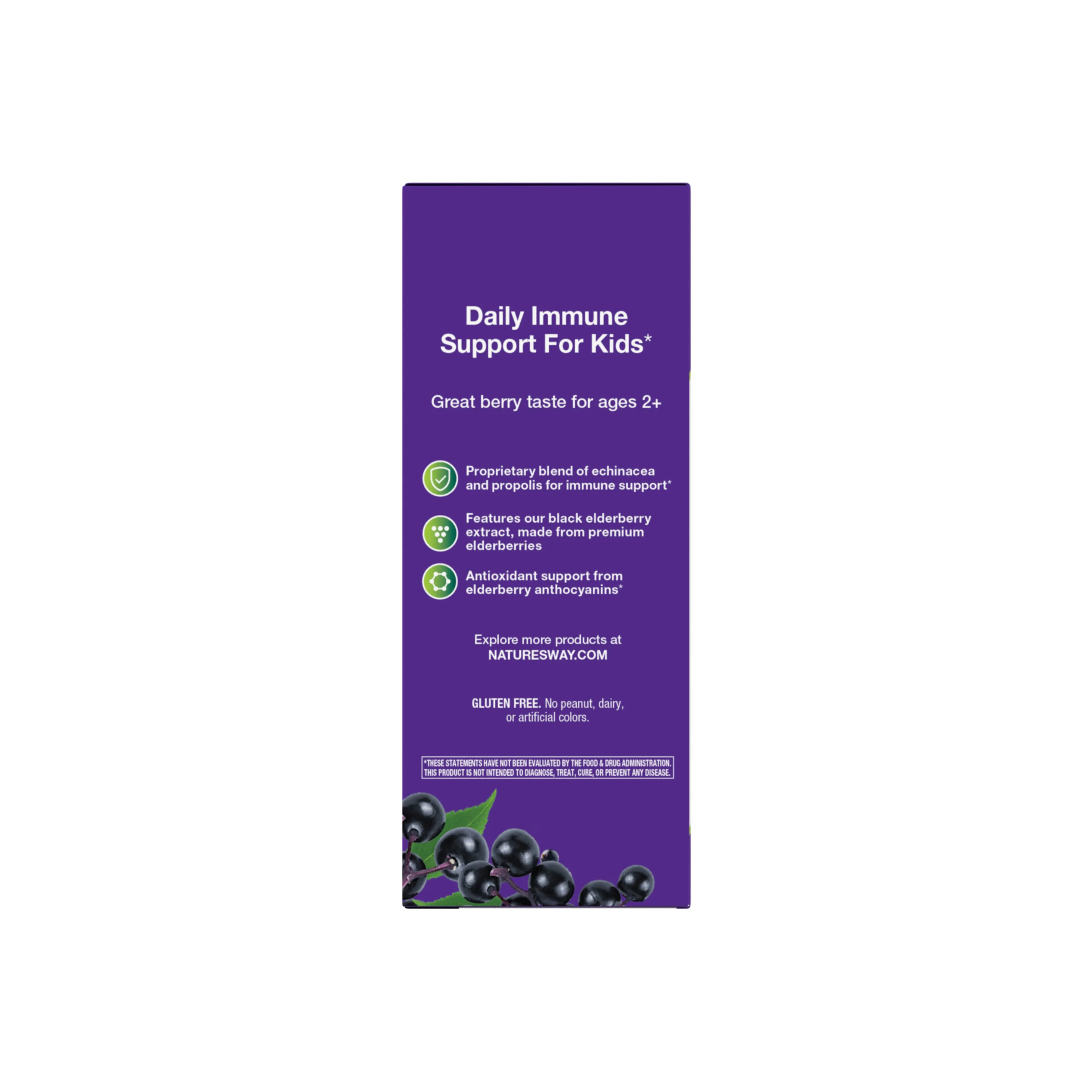 Sambucus Immune Syrup for Kids* - Image 7