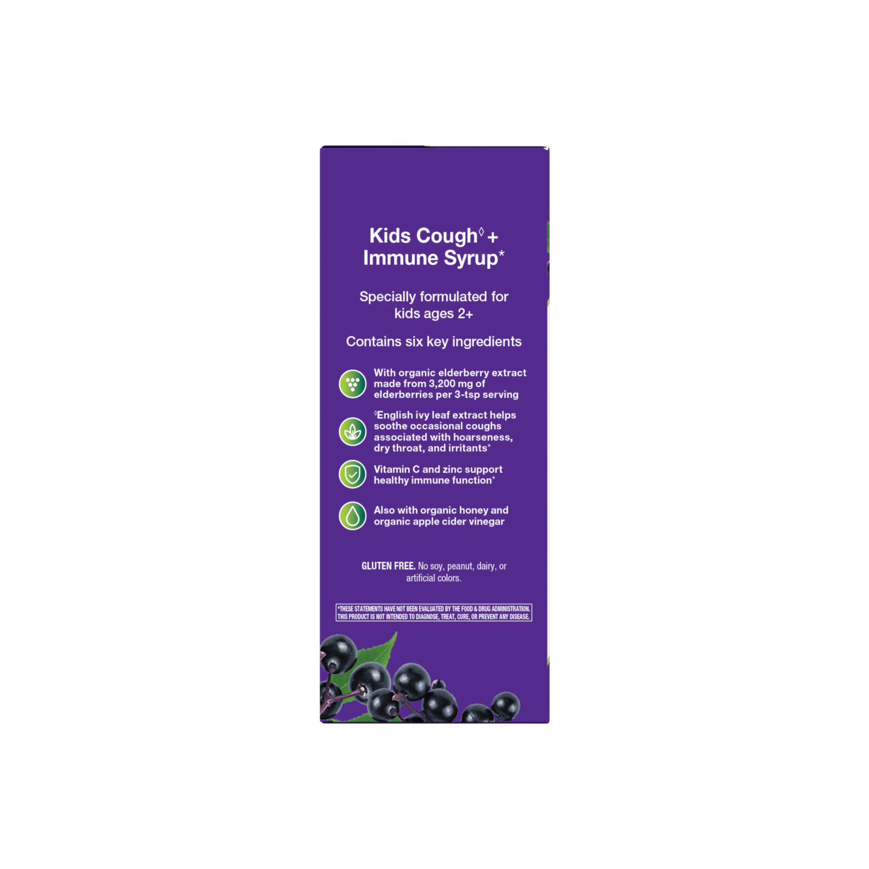 Sambucus Kids Cough + Immune Syrup - Image 10