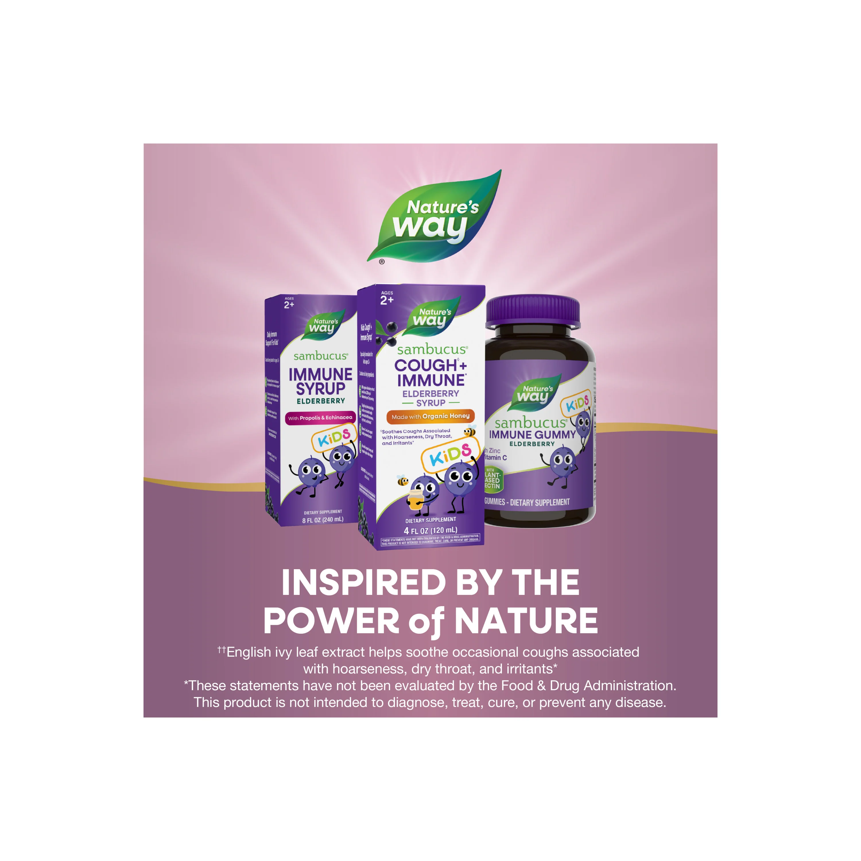 Sambucus Kids Cough + Immune Syrup - Image 6