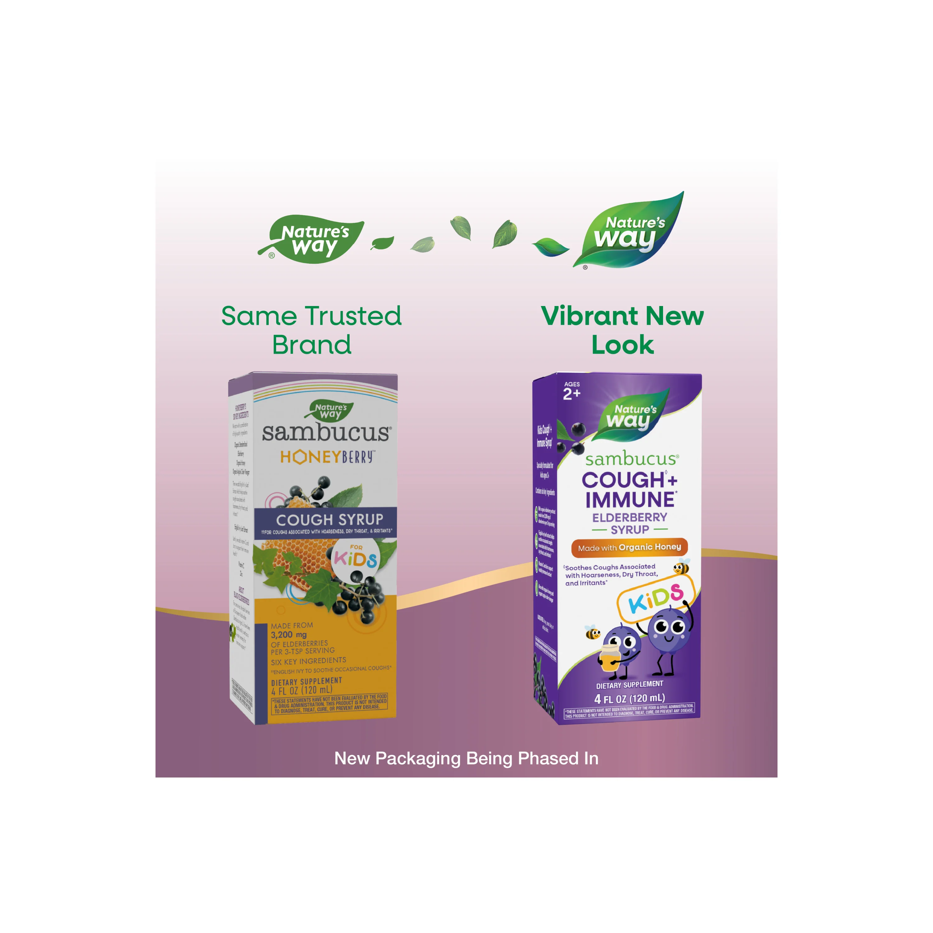 Sambucus Kids Cough + Immune Syrup - Image 8