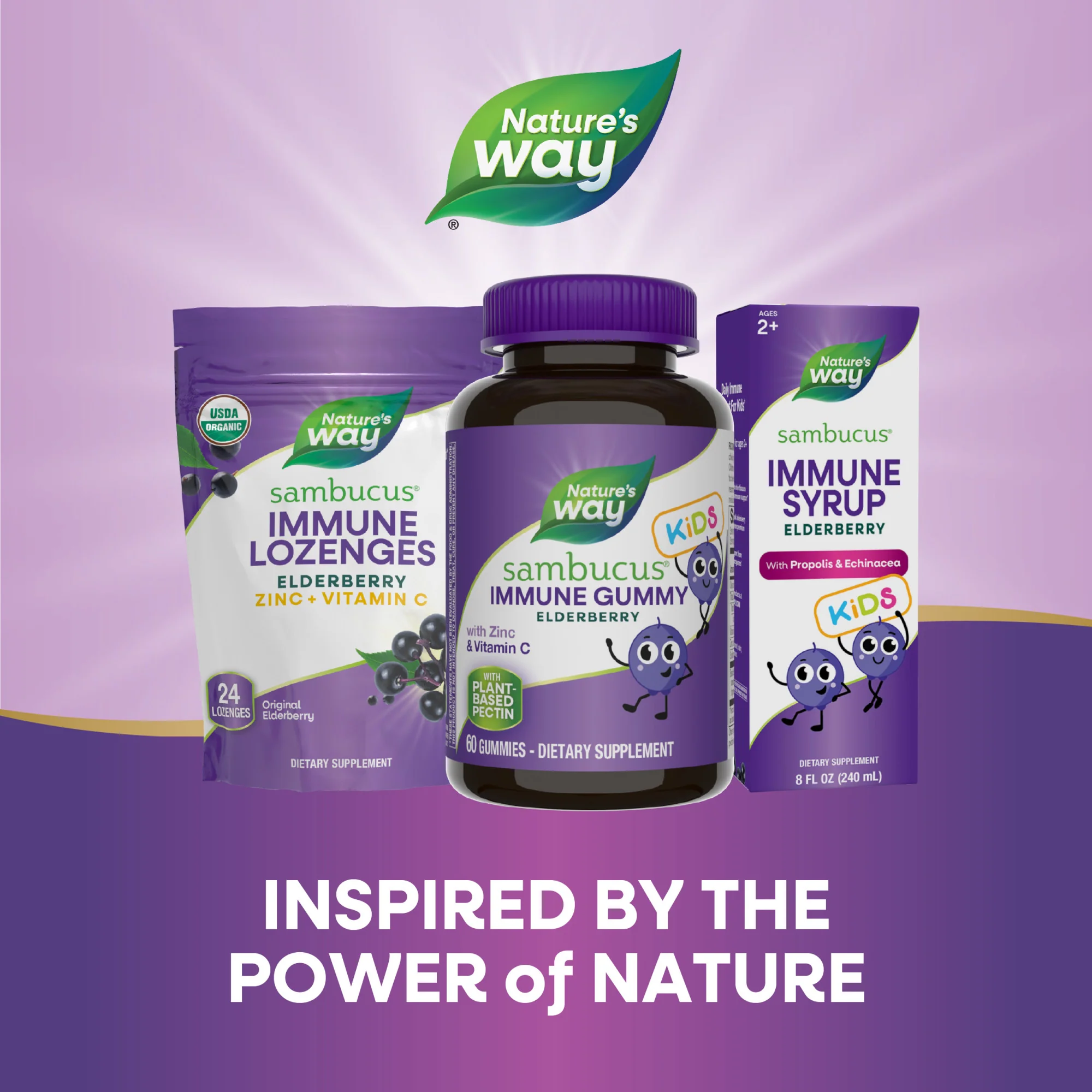 Sambucus Kids Gummy - For Immune Support - Image 5