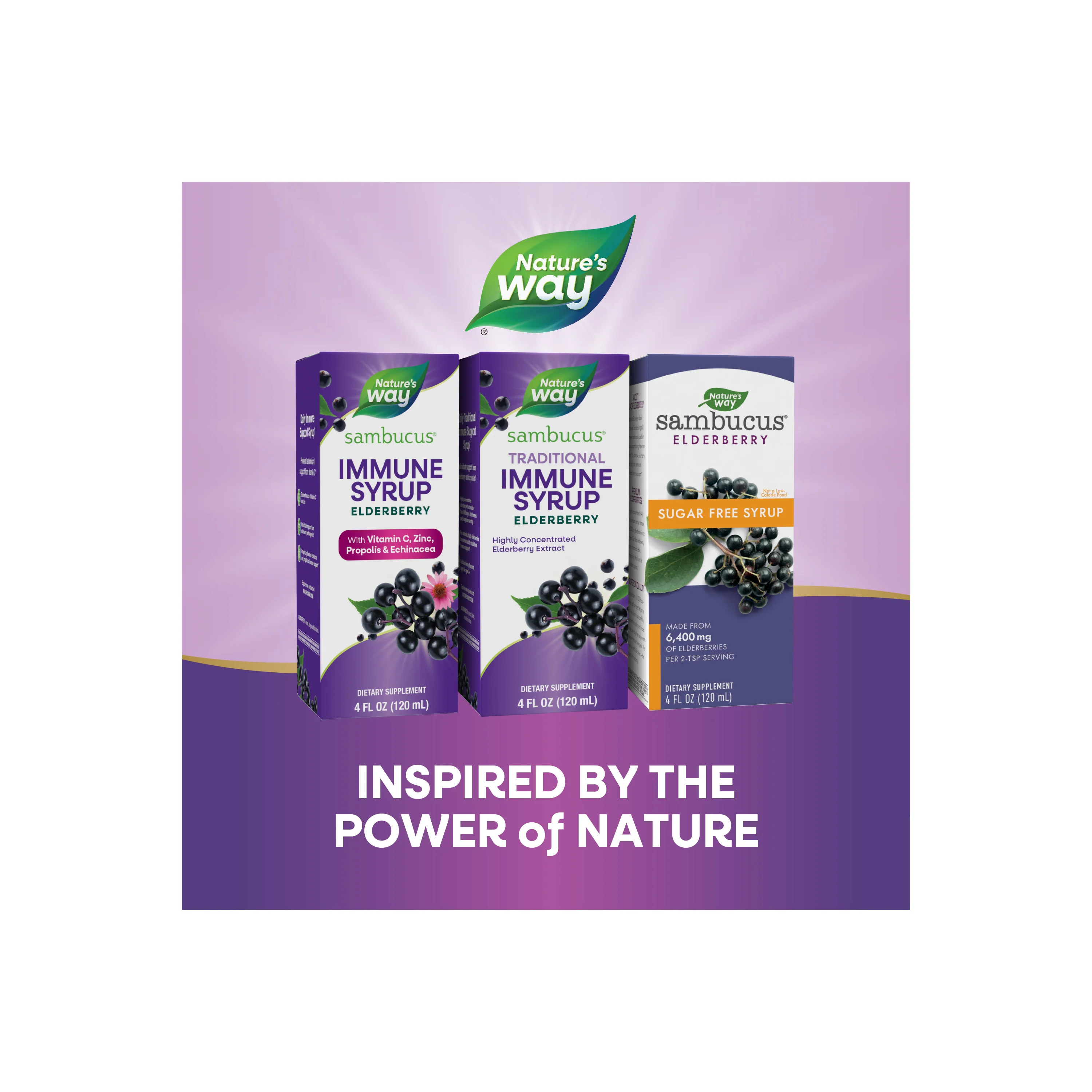 Sambucus Traditional Immune Syrup - Image 4