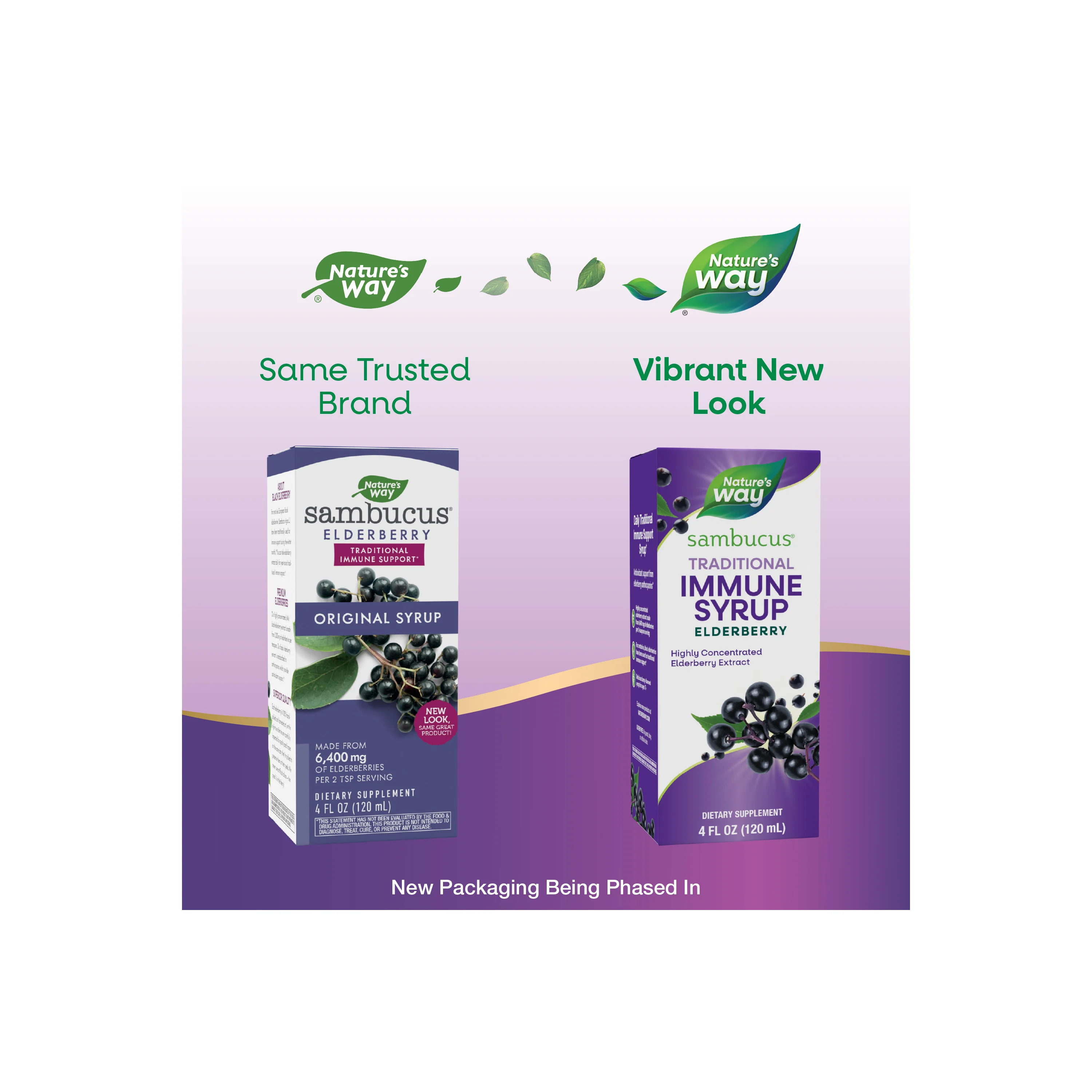 Sambucus Traditional Immune Syrup - Image 6