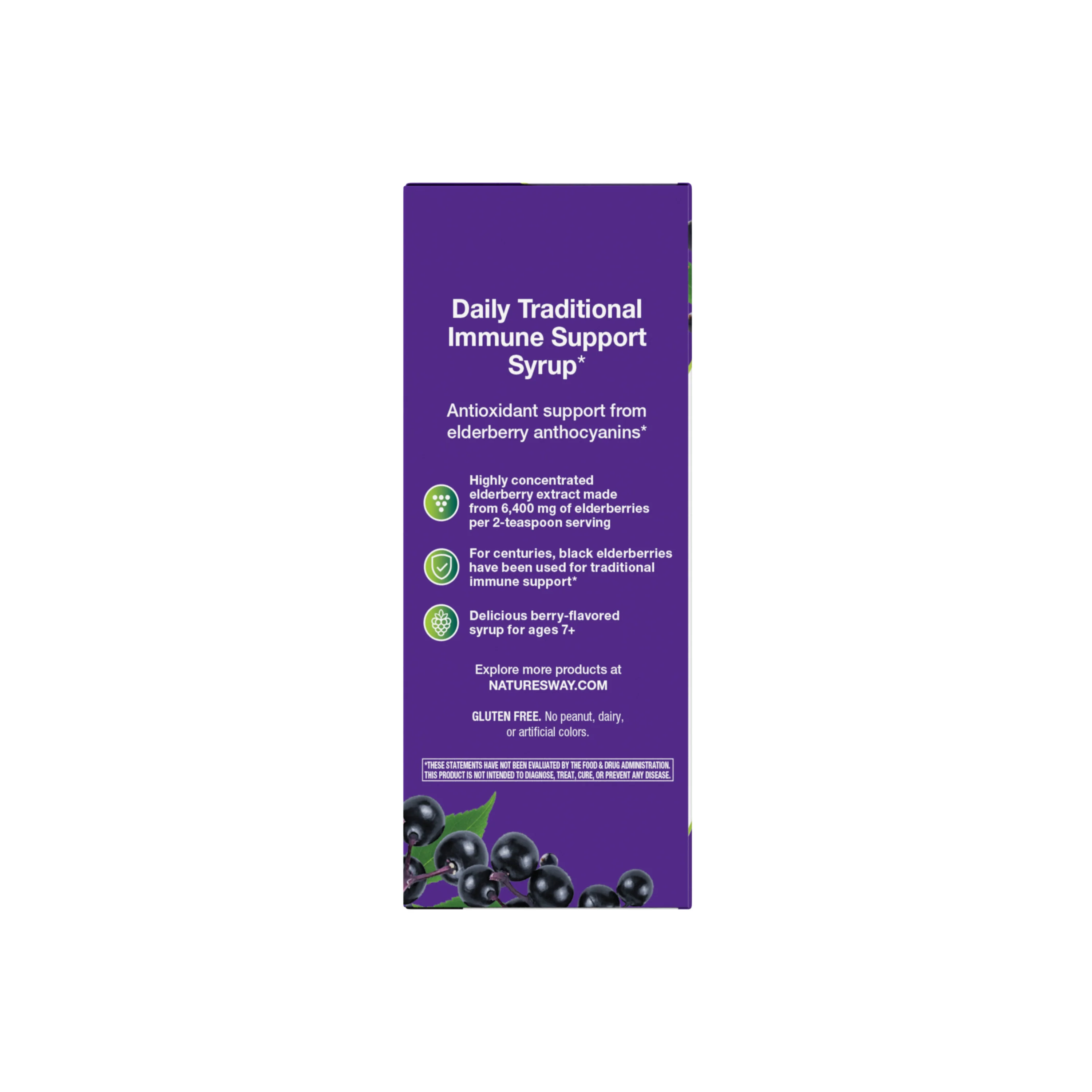 Sambucus Traditional Immune Syrup - Image 8