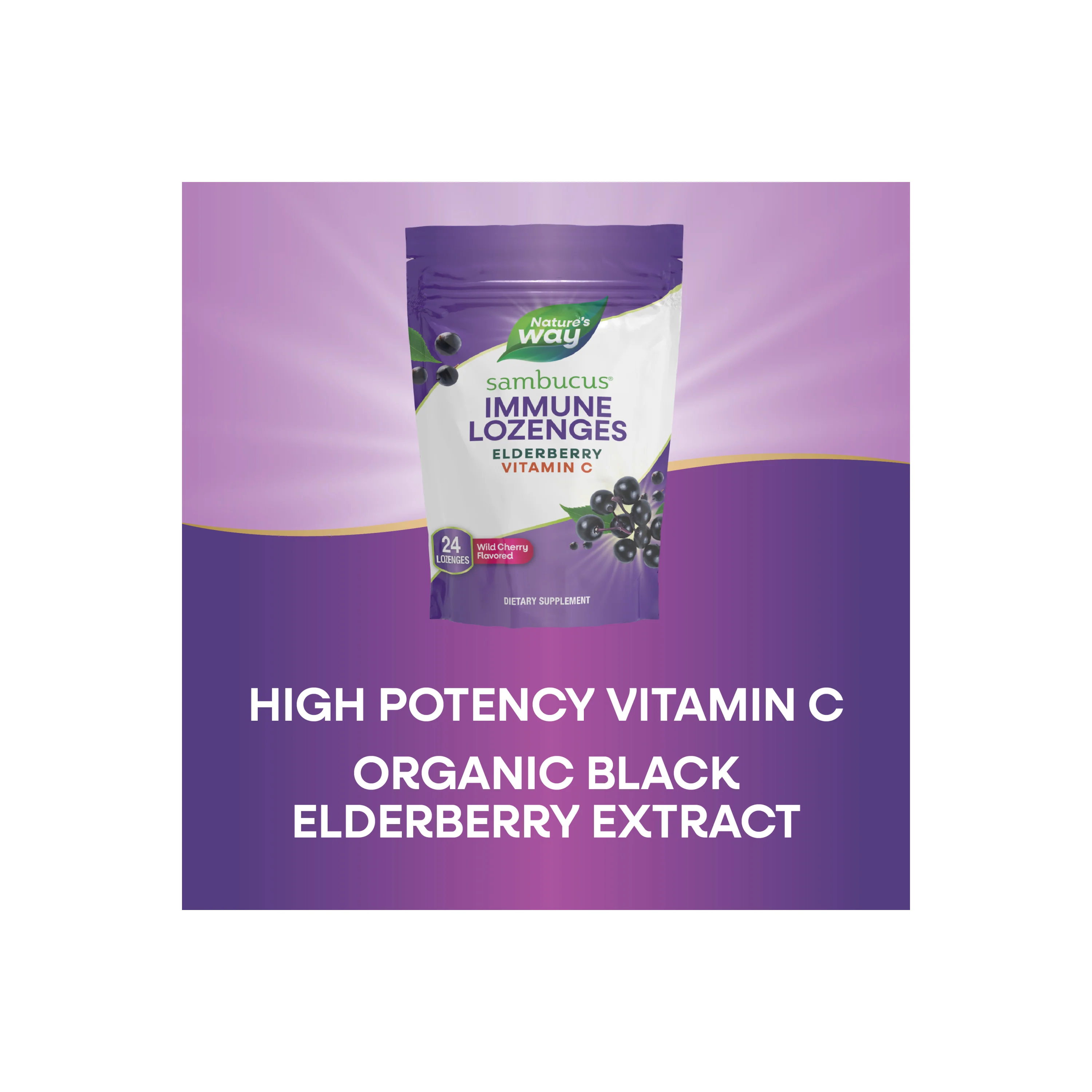 Sambucus Vitamin C Lozenges - Image 10