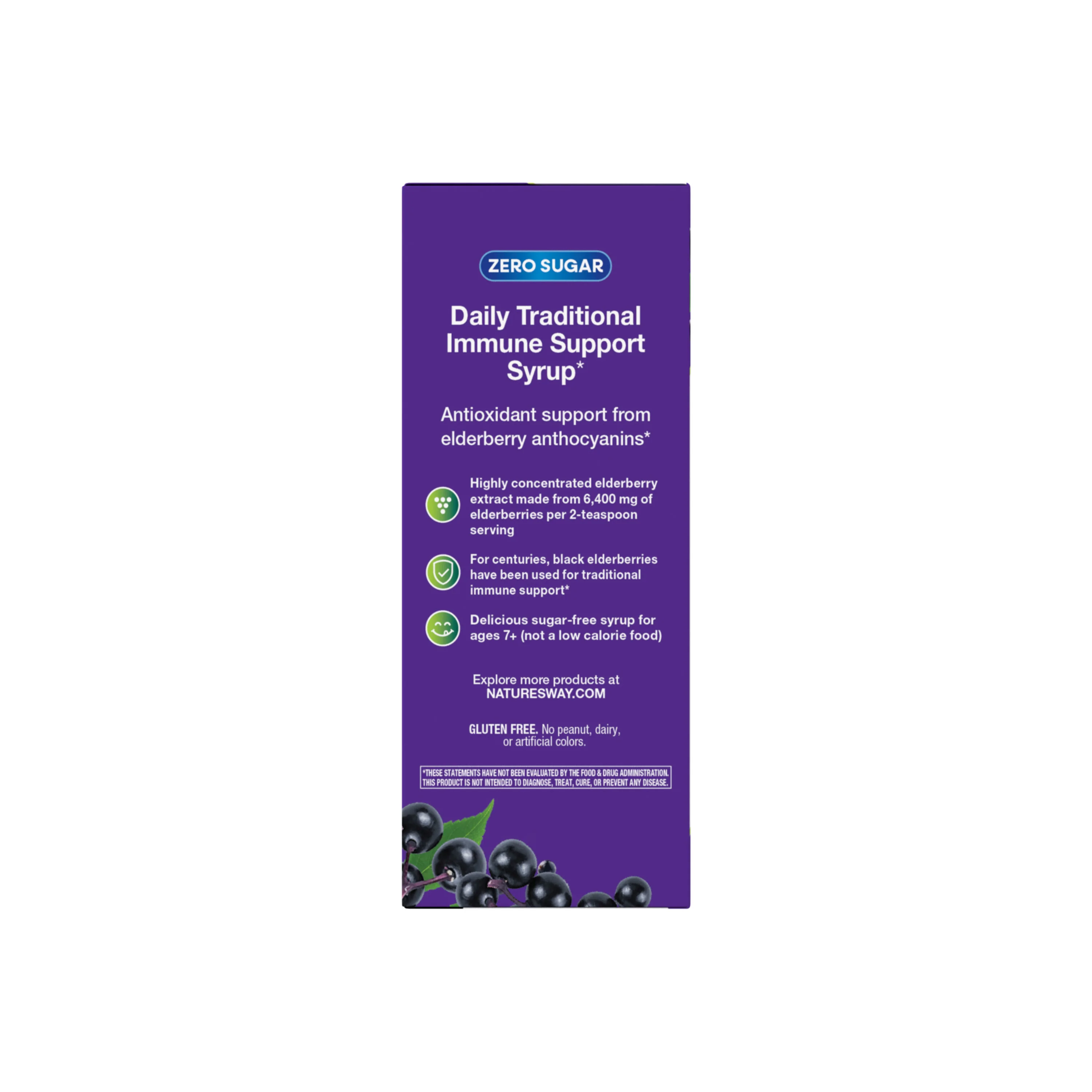 Sambucus Zero Sugar Traditional Immune Syrup - Image 10