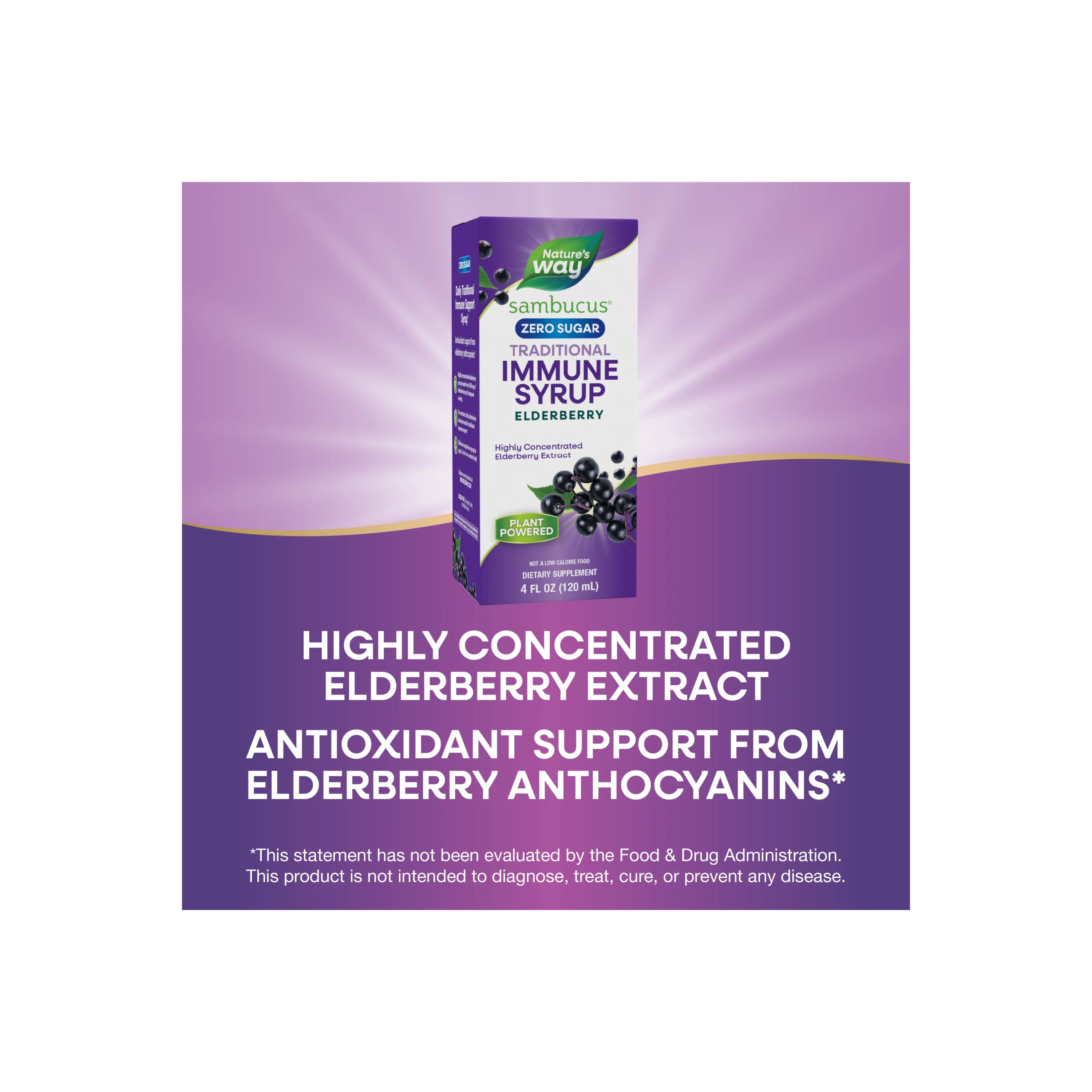 Sambucus Zero Sugar Traditional Immune Syrup - Image 14