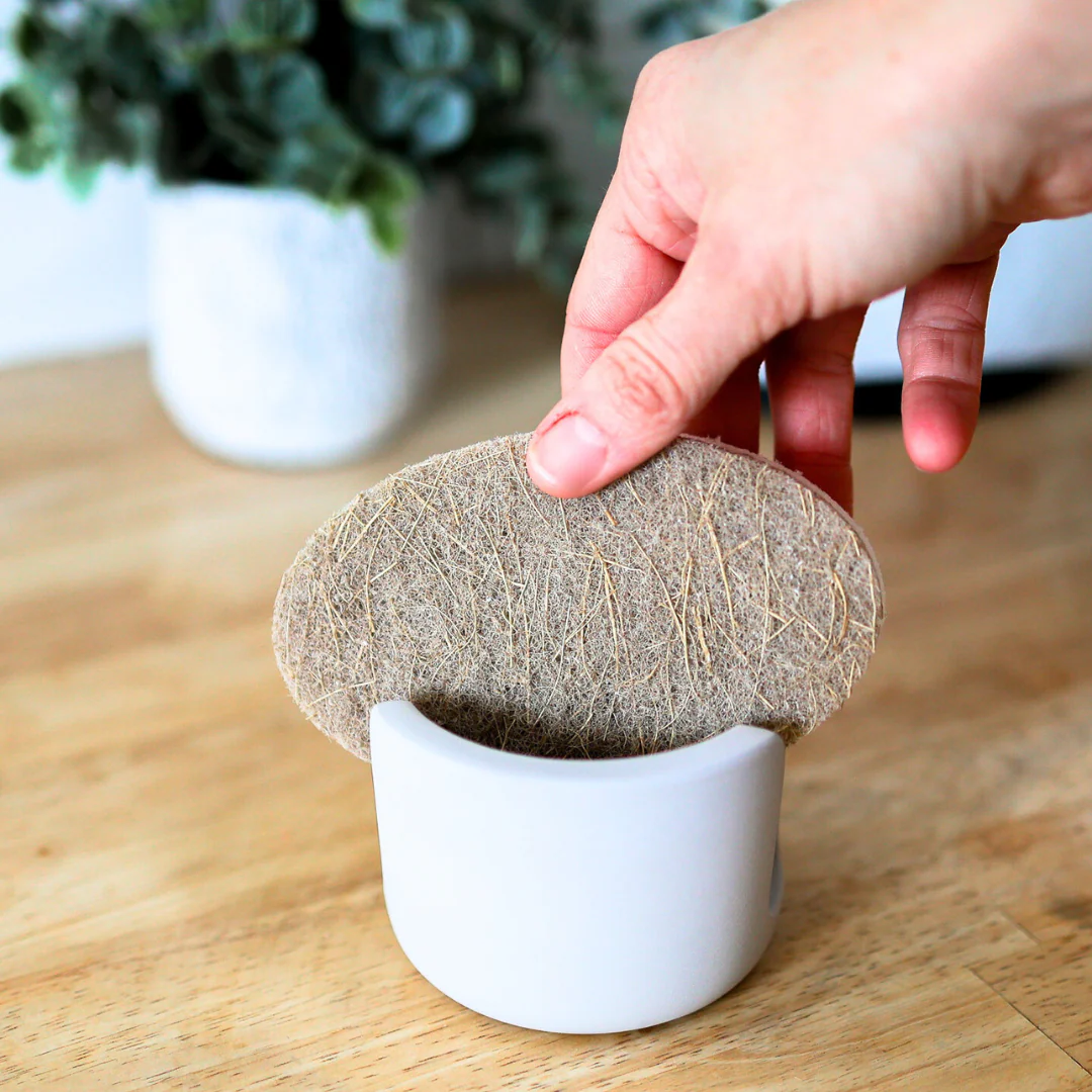 Oval Dish Sponge Pack - Image 3