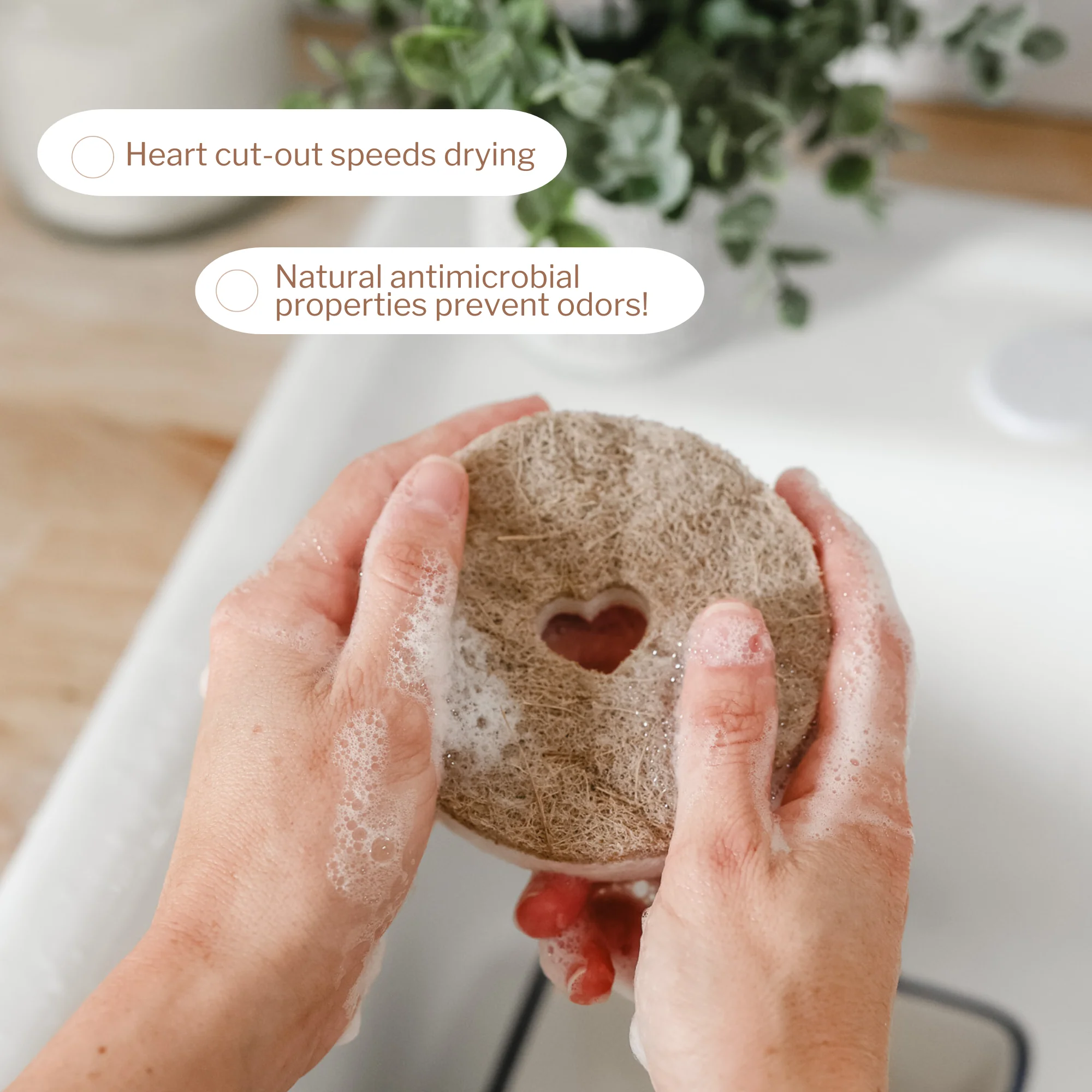 Round Heart Dish Sponge Pack - Image 3