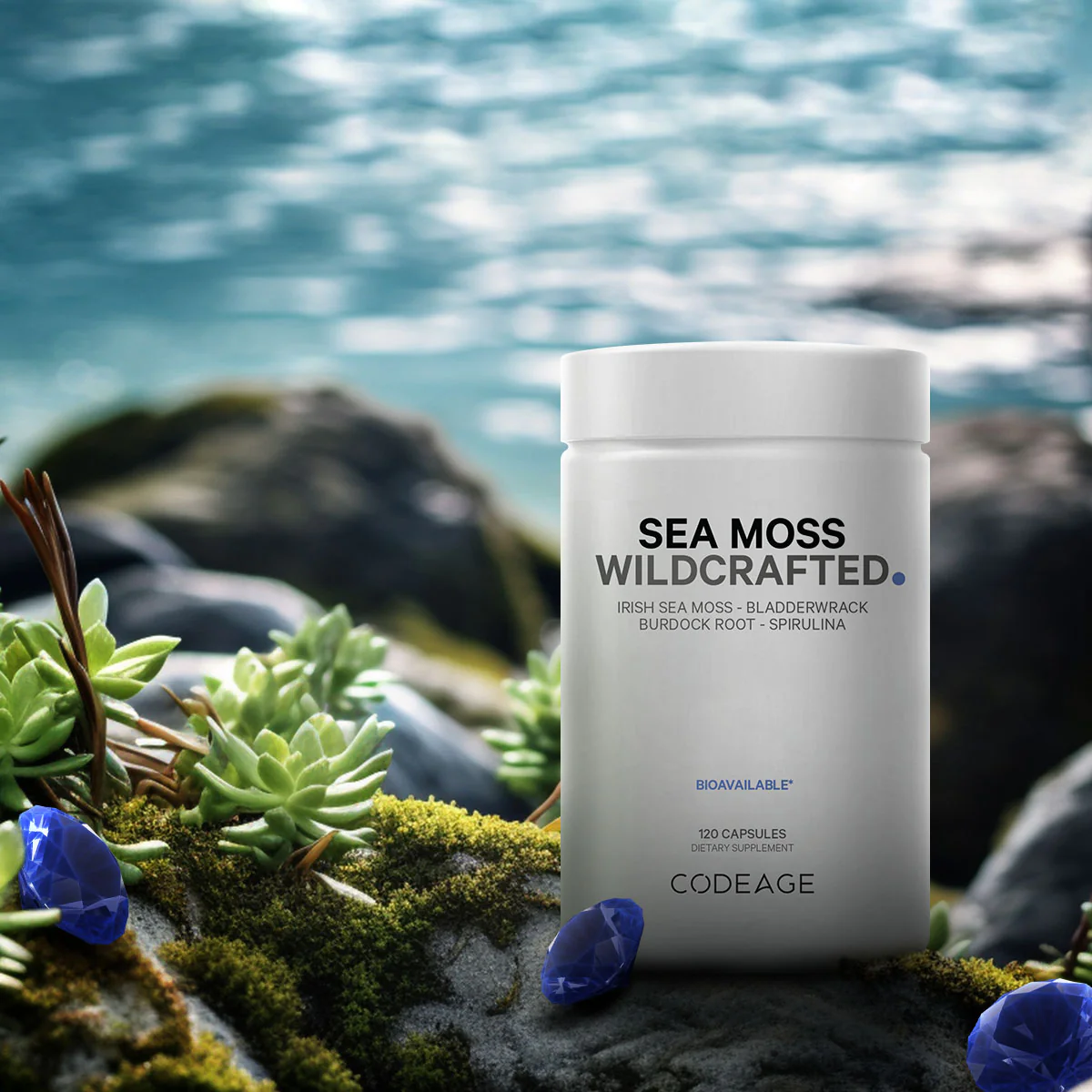 Sea Moss Wild Crafted - Image 5