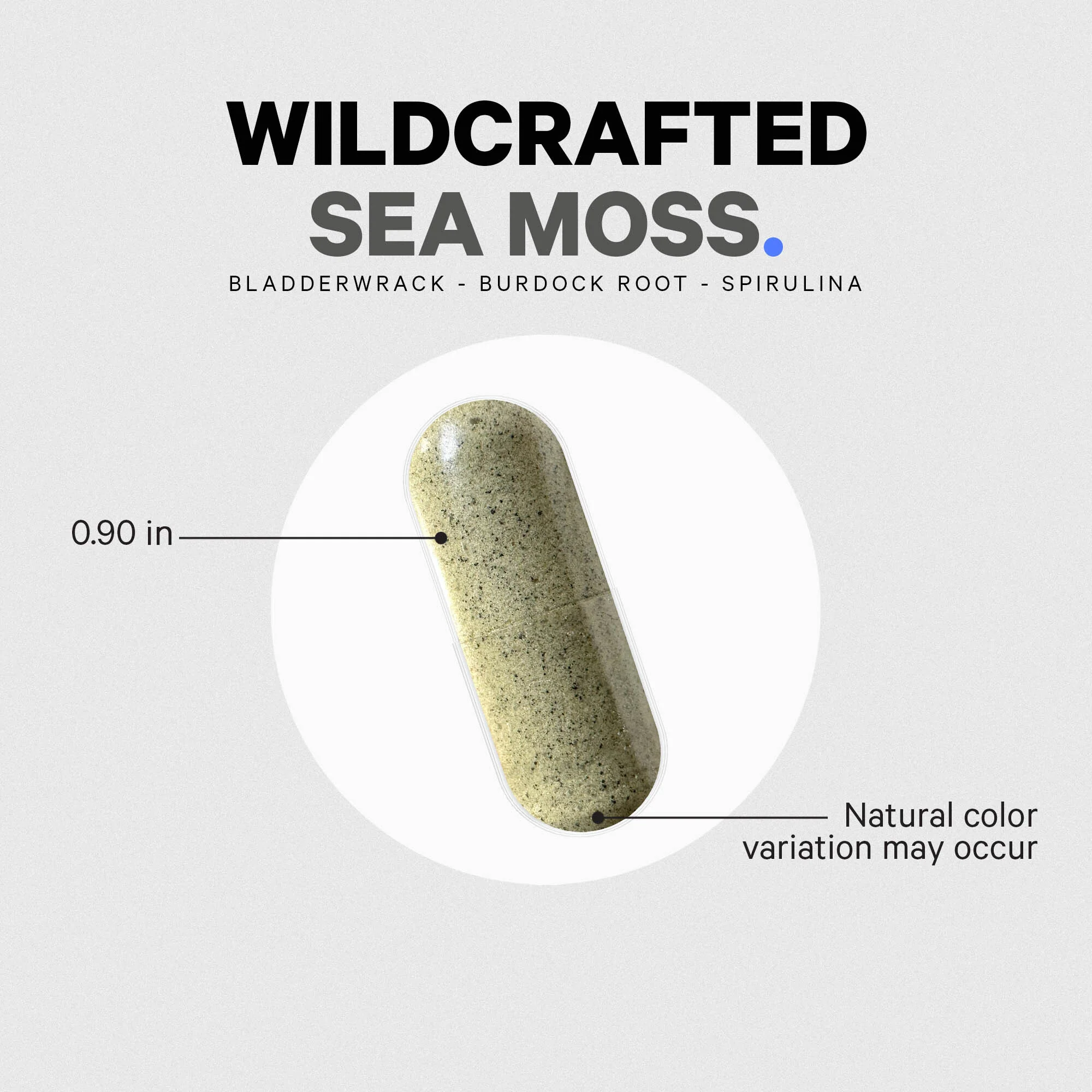 Sea Moss Wild Crafted - Image 7