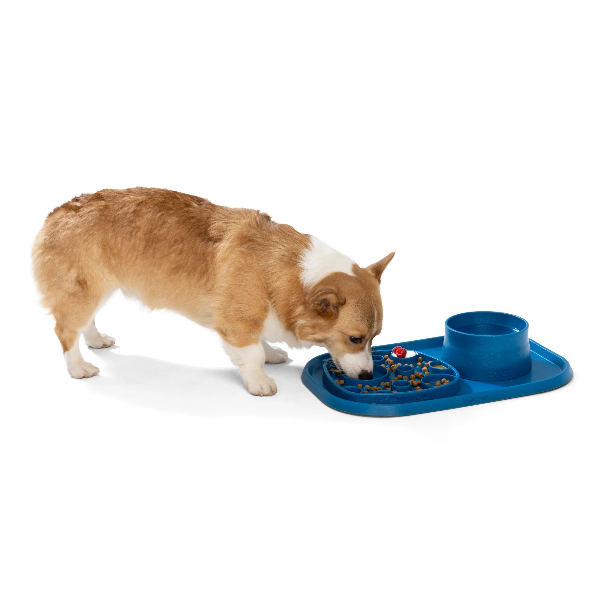 Seaflex Bubbles Feast Mat - All-in-One Slow Feeder & Lick Mat - Image 16