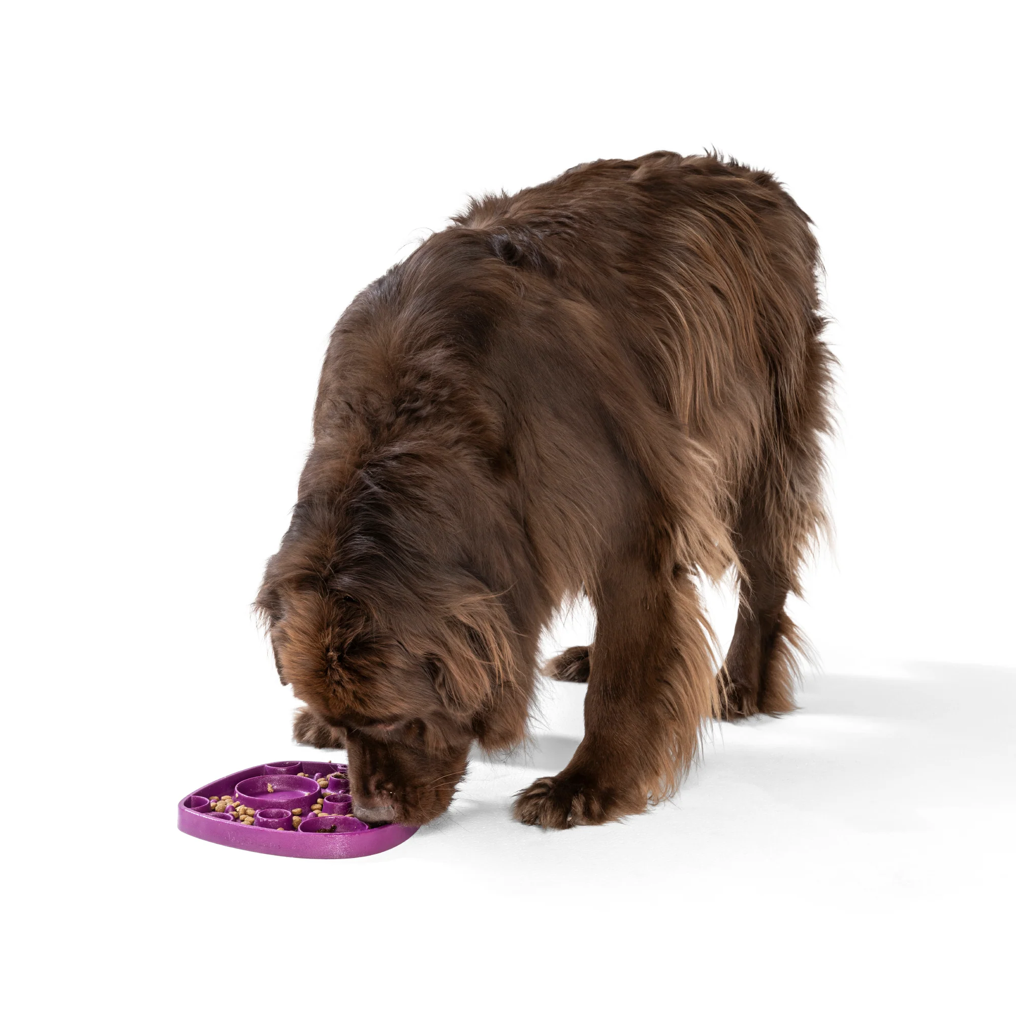 Seaflex Bubbles Feast Mat - All-in-One Slow Feeder & Lick Mat - Image 23