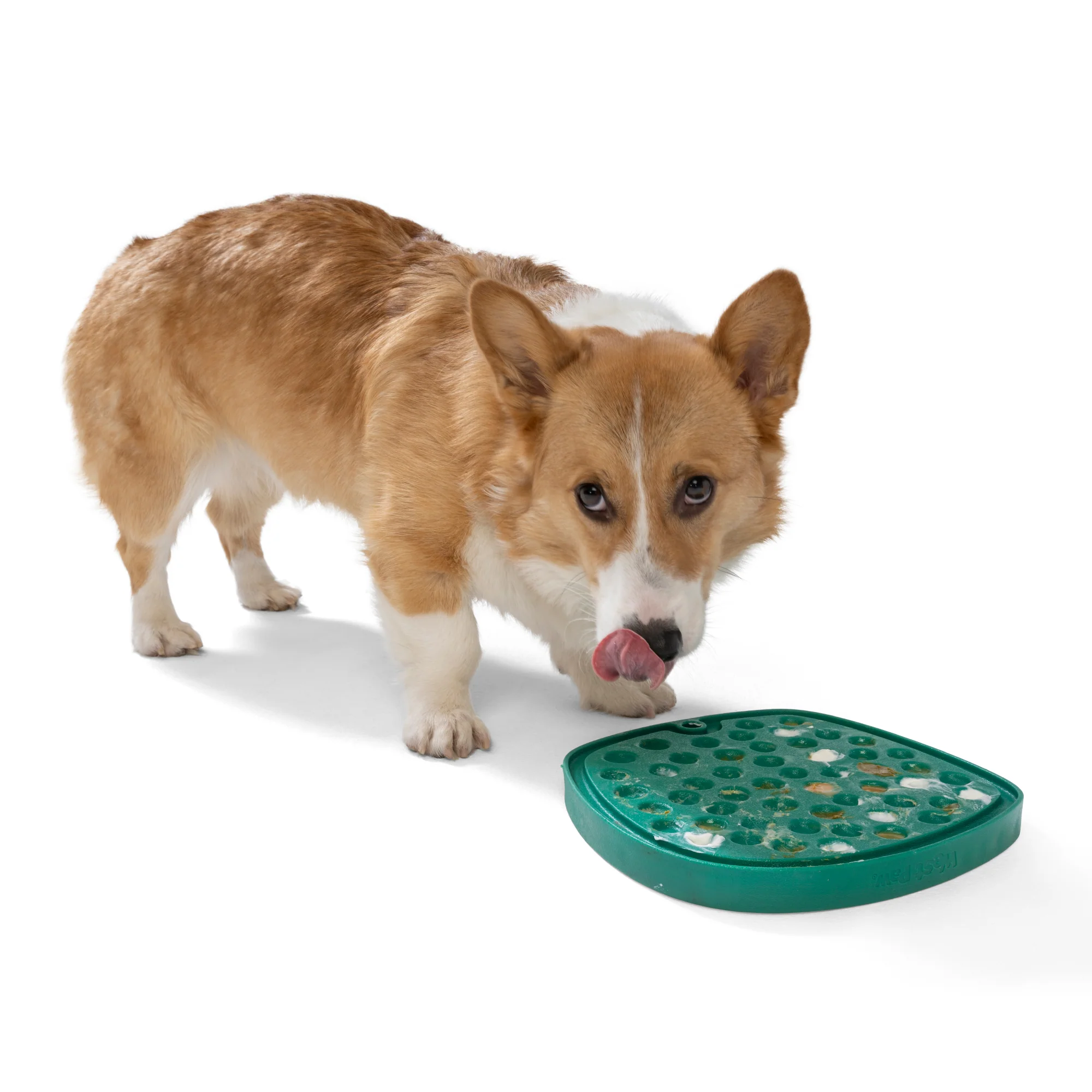 Seaflex Bubbles Feast Mat - All-in-One Slow Feeder & Lick Mat - Image 8