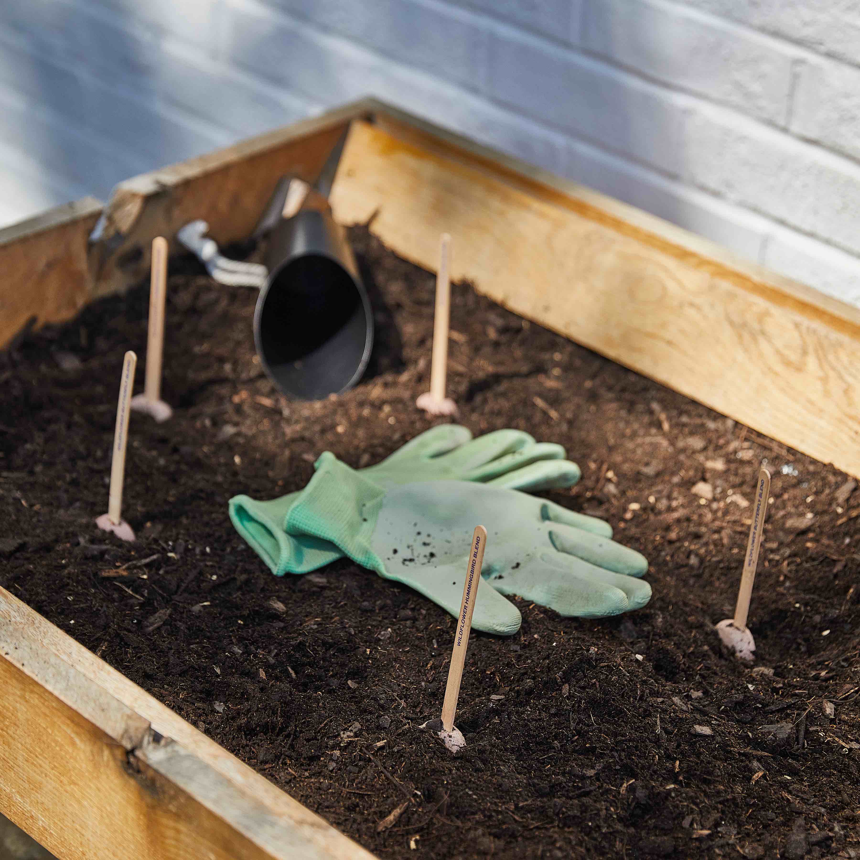 Seed Pop - Image 11
