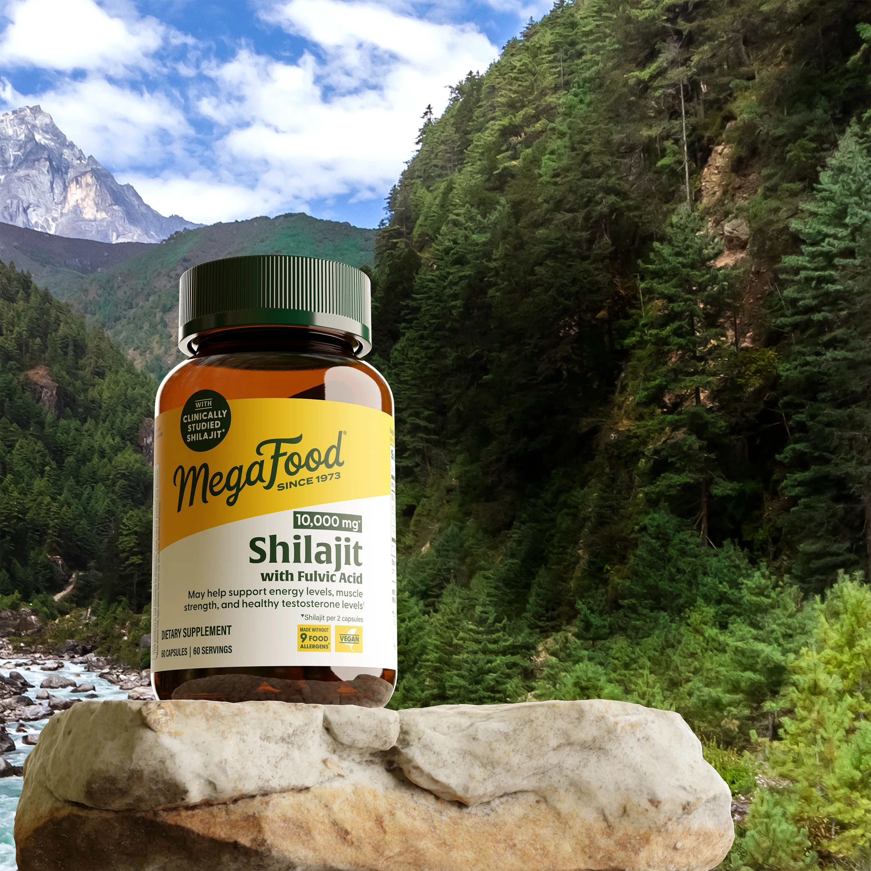 Shilajit with Fulvic Acid Capsules - Image 4