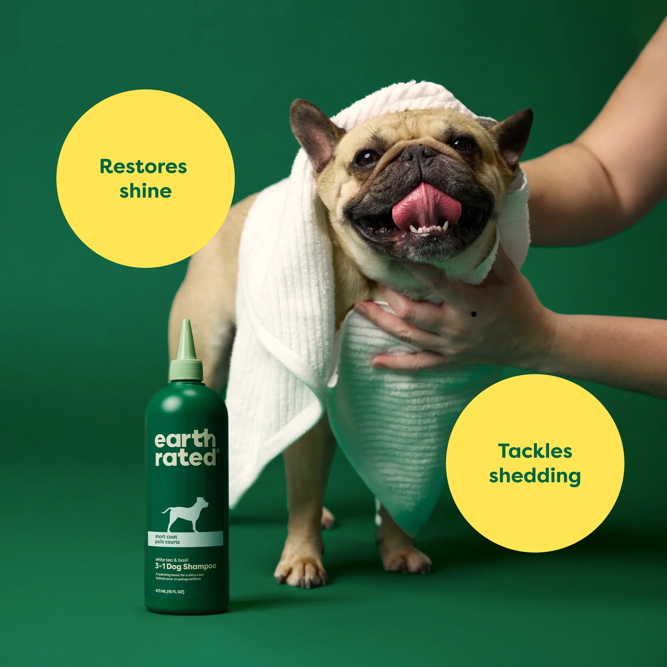 3-in-1 Short Coat Dog Shampoo - Image 2