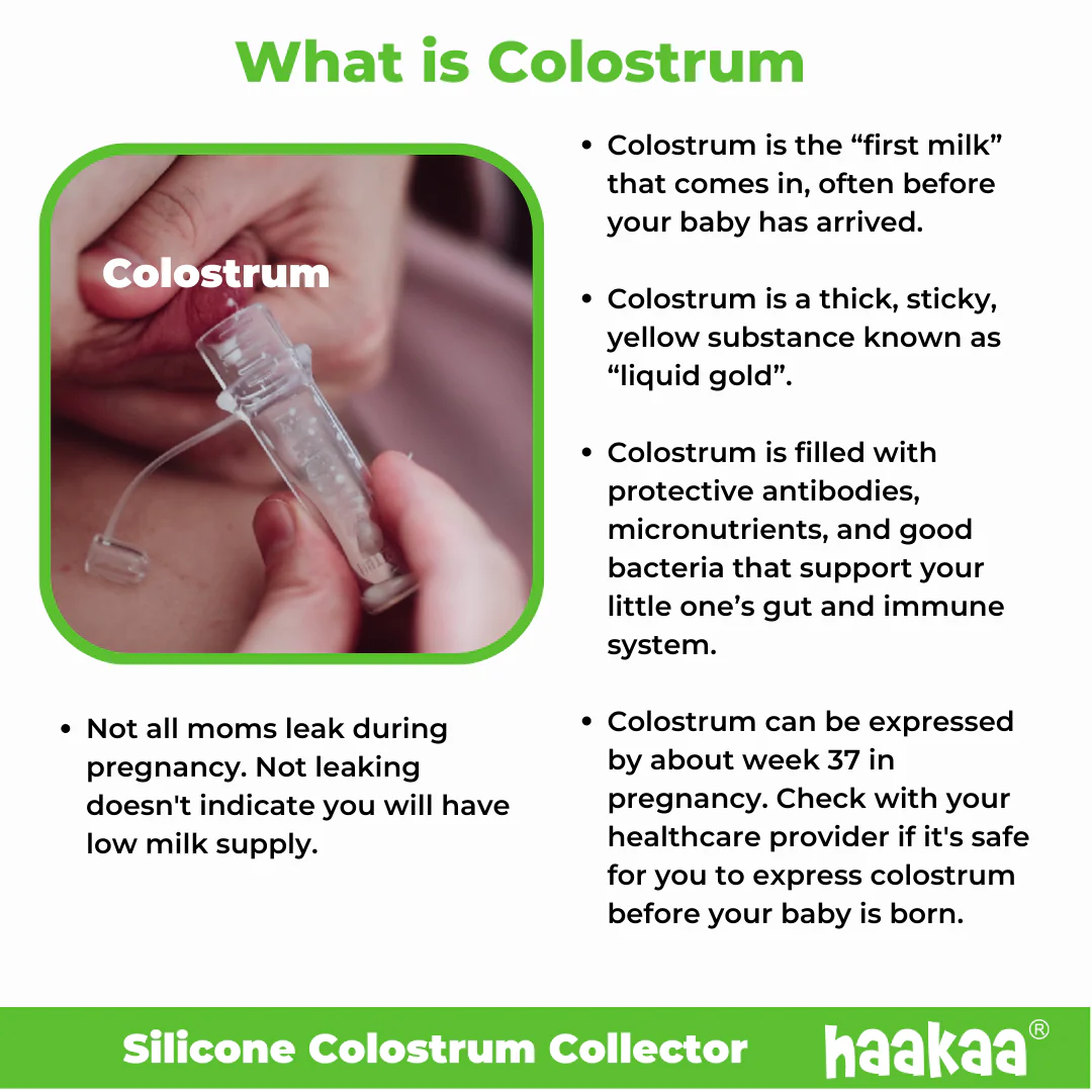 Silicone Colostrum Collector Set - Image 8