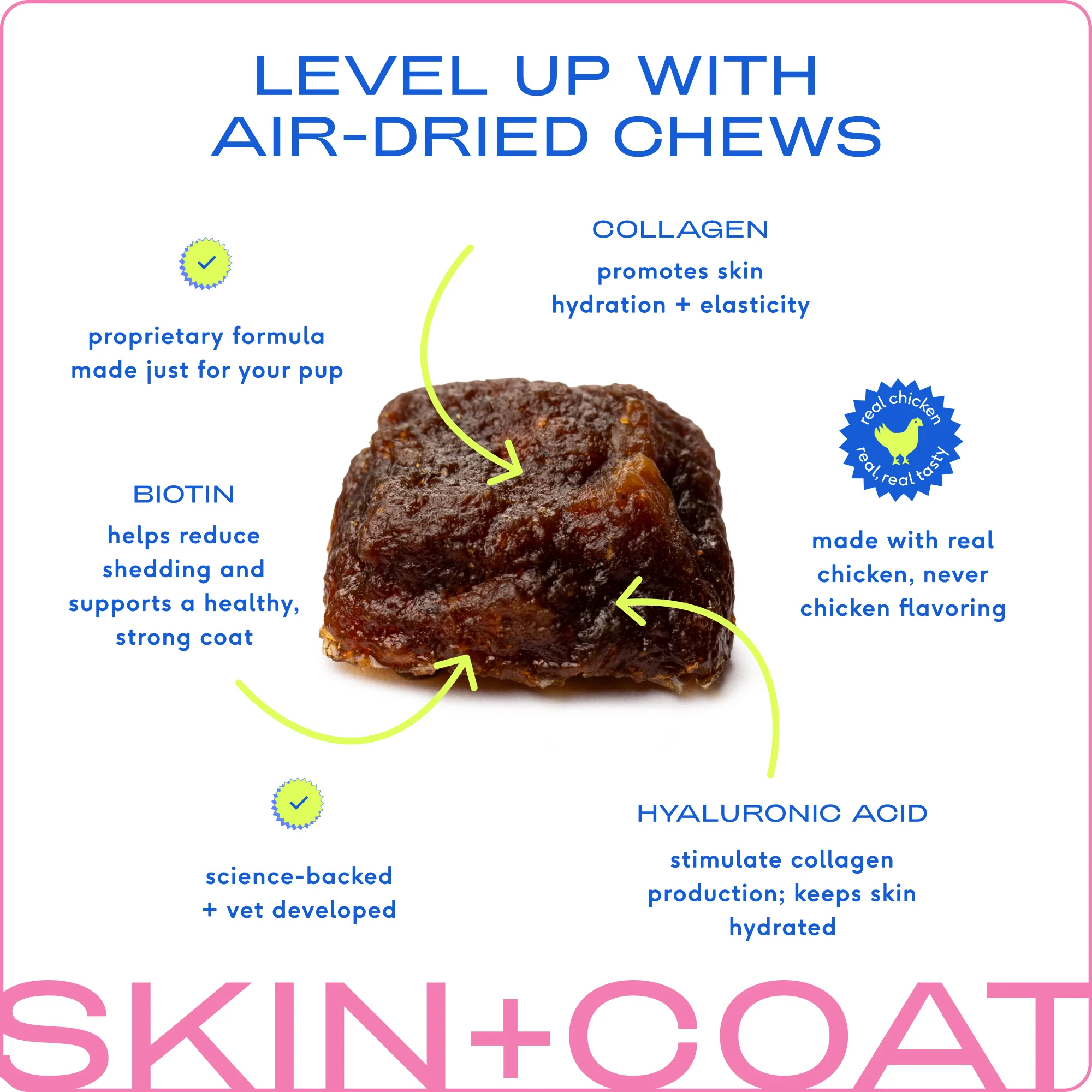 Skin and Coat Chews Supplement for Dogs - Image 5