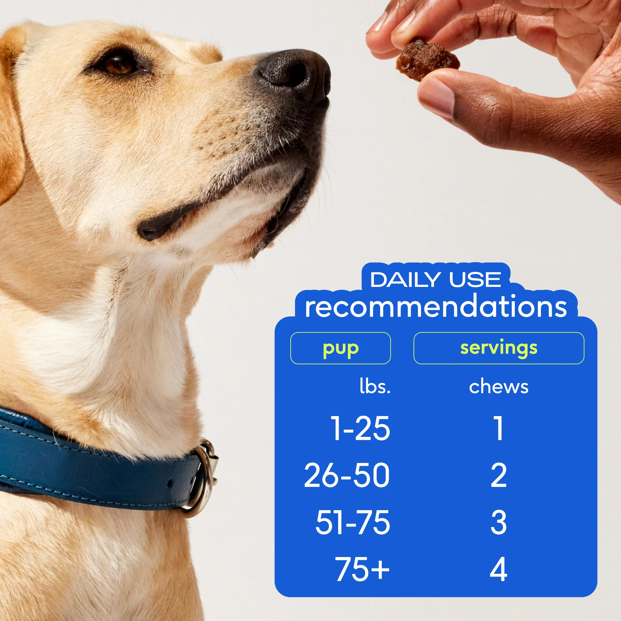 Skin and Coat Chews Supplement for Dogs - Image 6