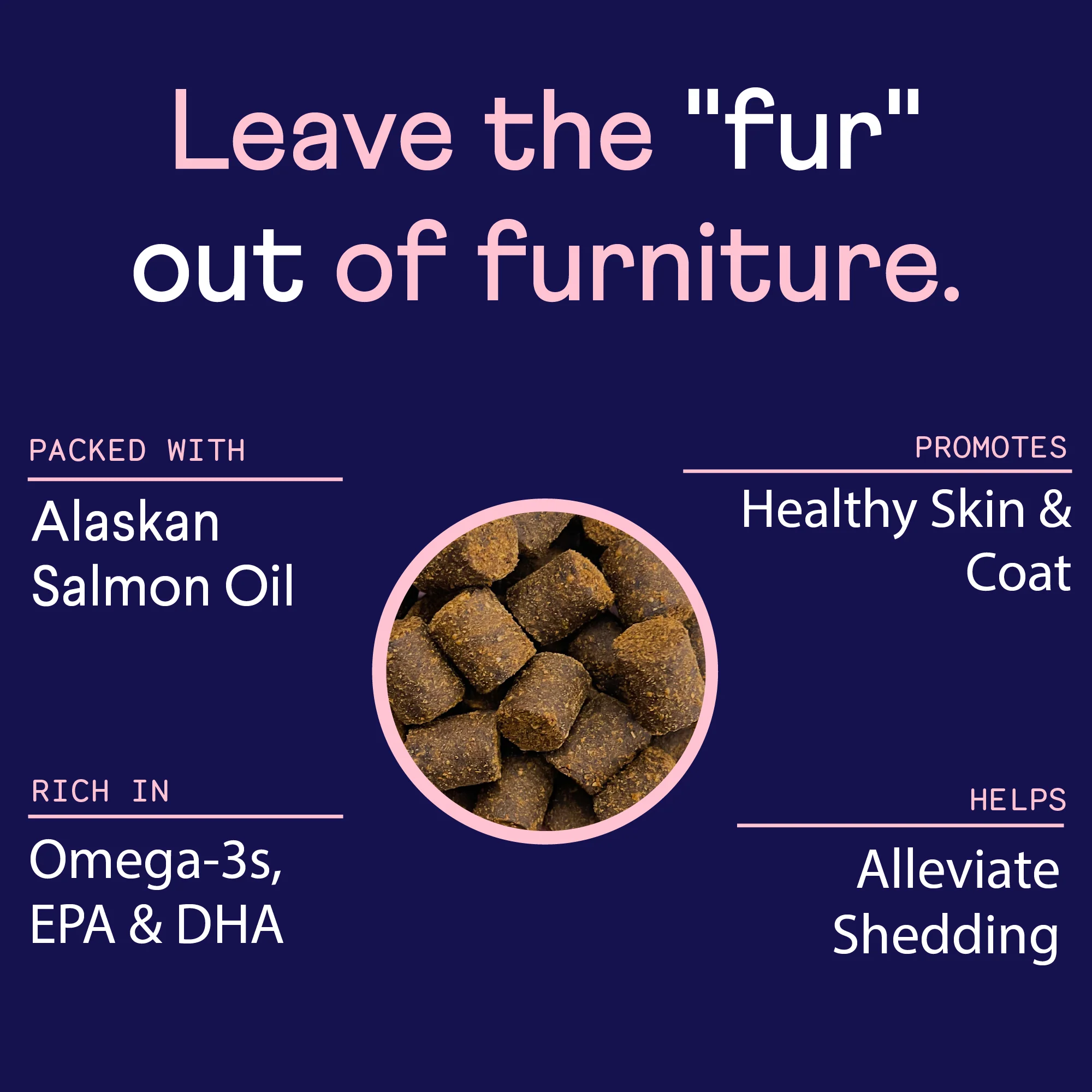 Skin & Coat Supplement for Dogs - Image 6