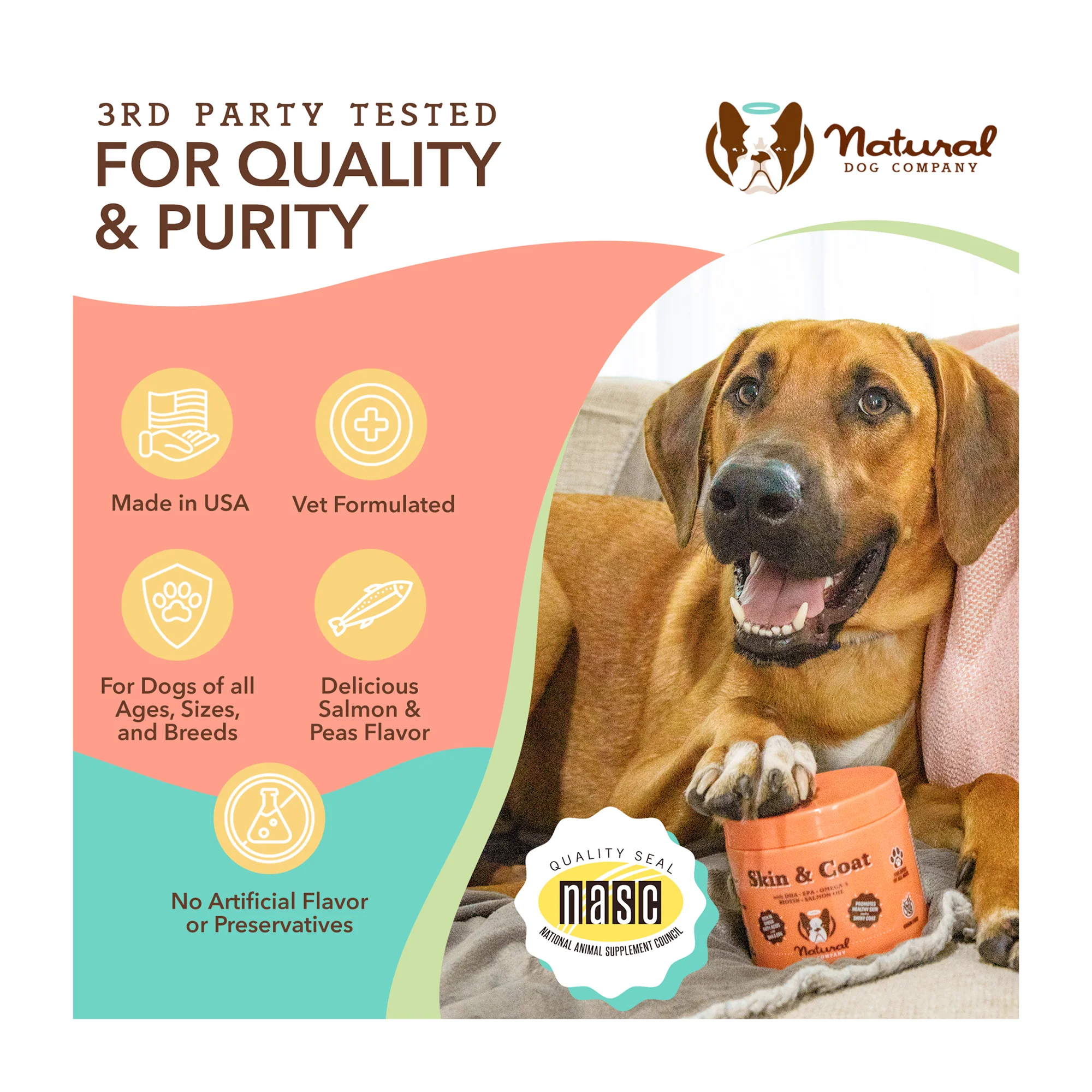 Skin & Coat Supplement for Dogs, Soft Chews - Image 4