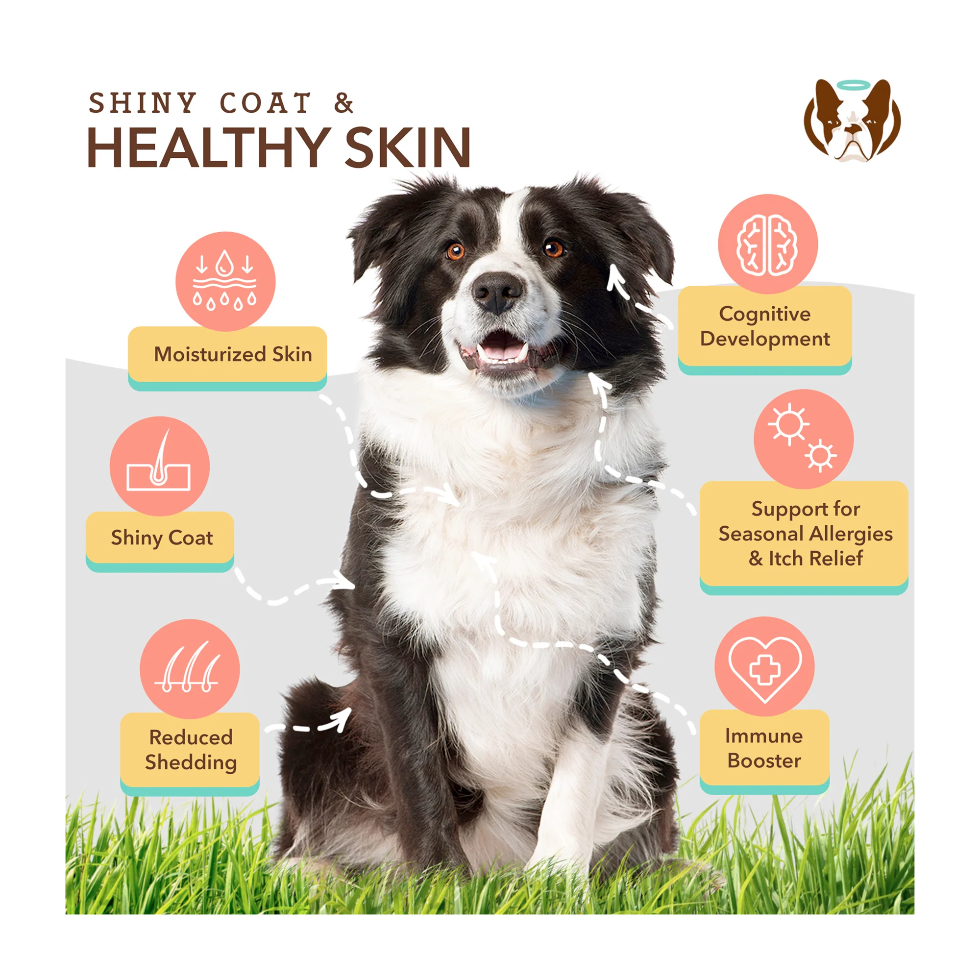 Skin & Coat Supplement for Dogs, Soft Chews - Image 7