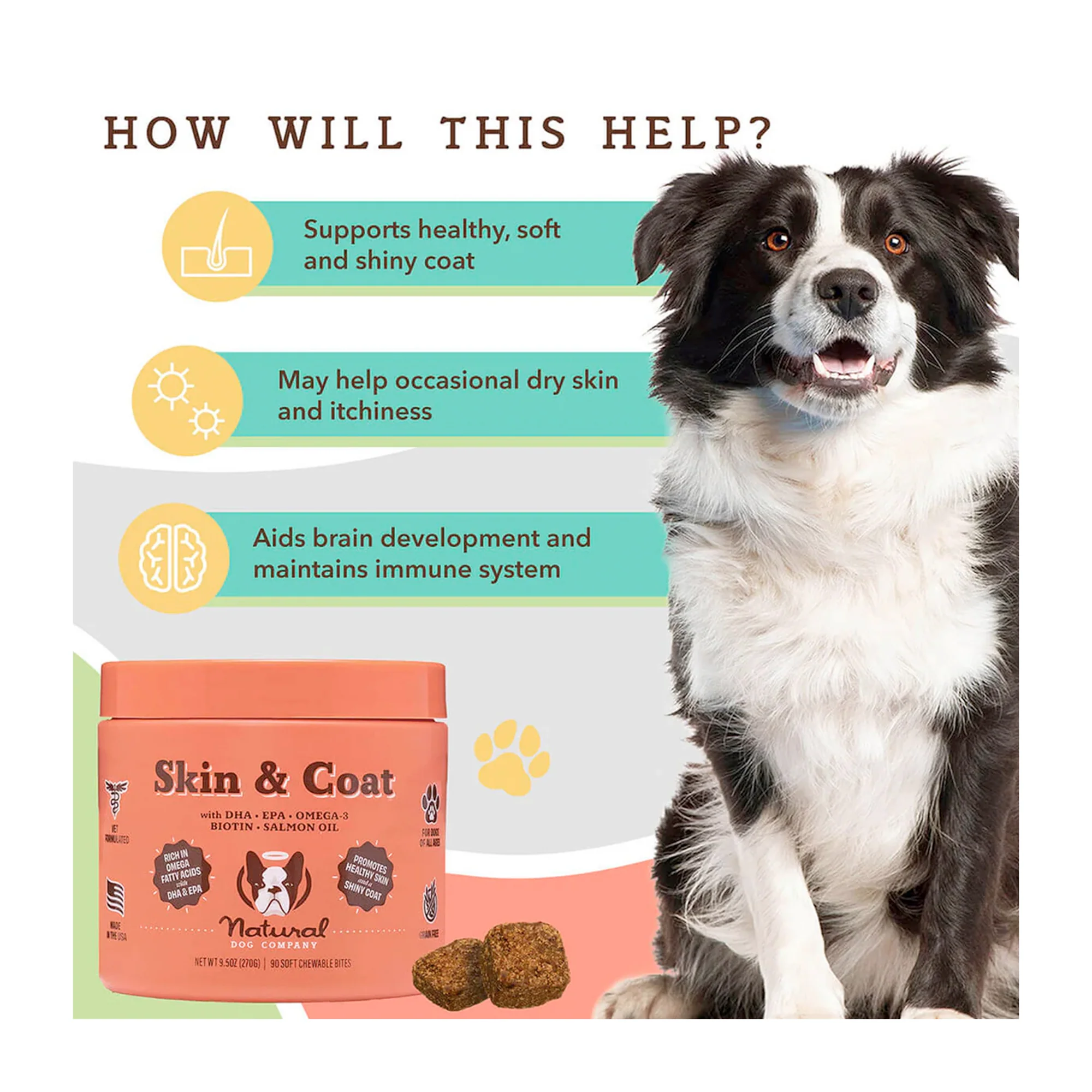 Skin & Coat Supplement for Dogs, Soft Chews - Image 8