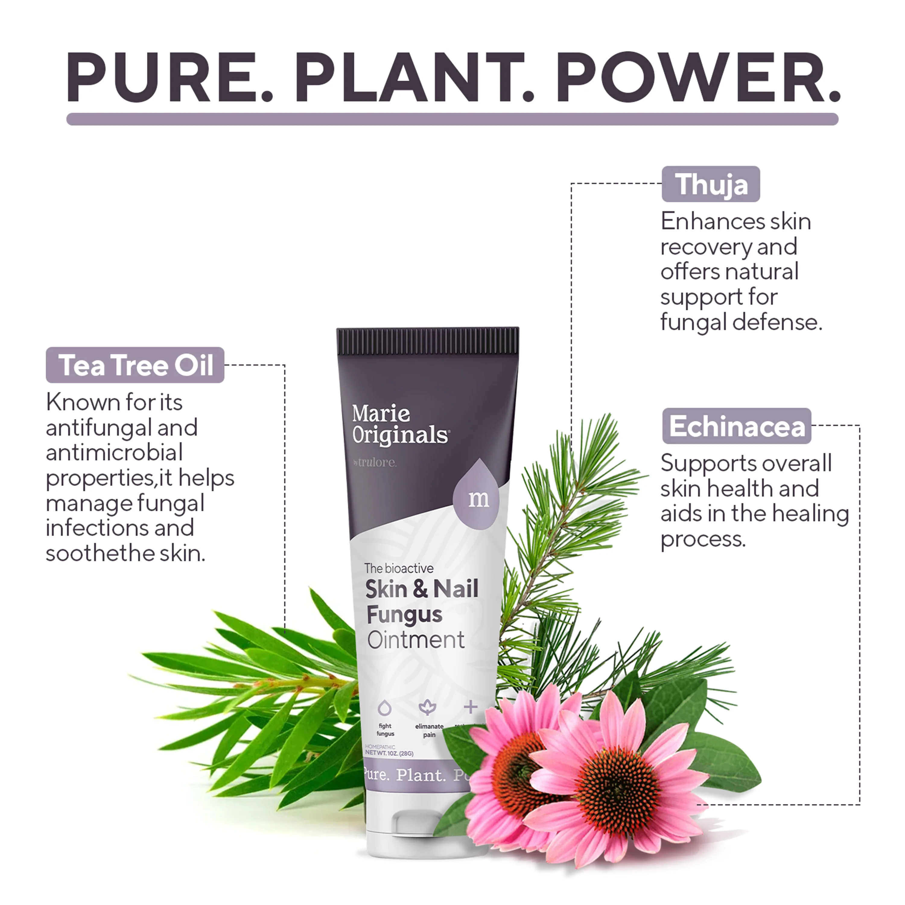 Skin & Nail Fungus Removal Cream - Image 6