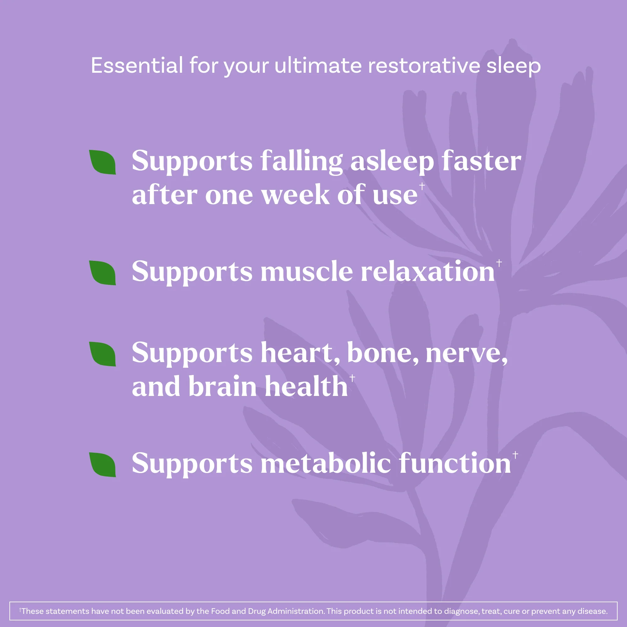 Sleep & Restore Calming Drink Mix, Melatonin Free - Image 4