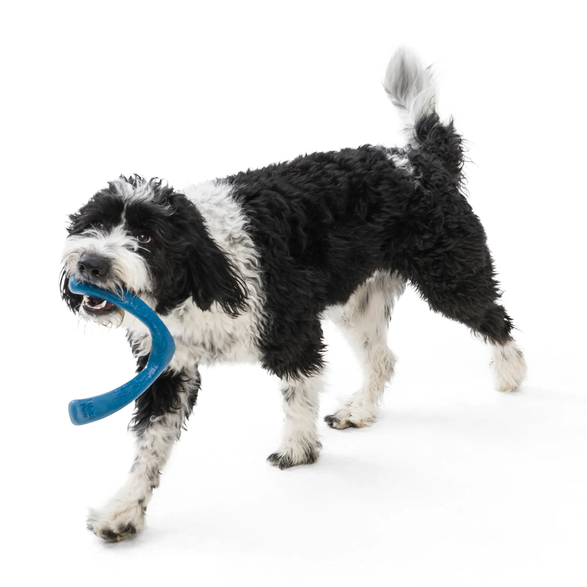 Snorkl® Interactive Tug and Fetch Dog Toy made from Ocean-Bound Recycled Plastic - Image 5