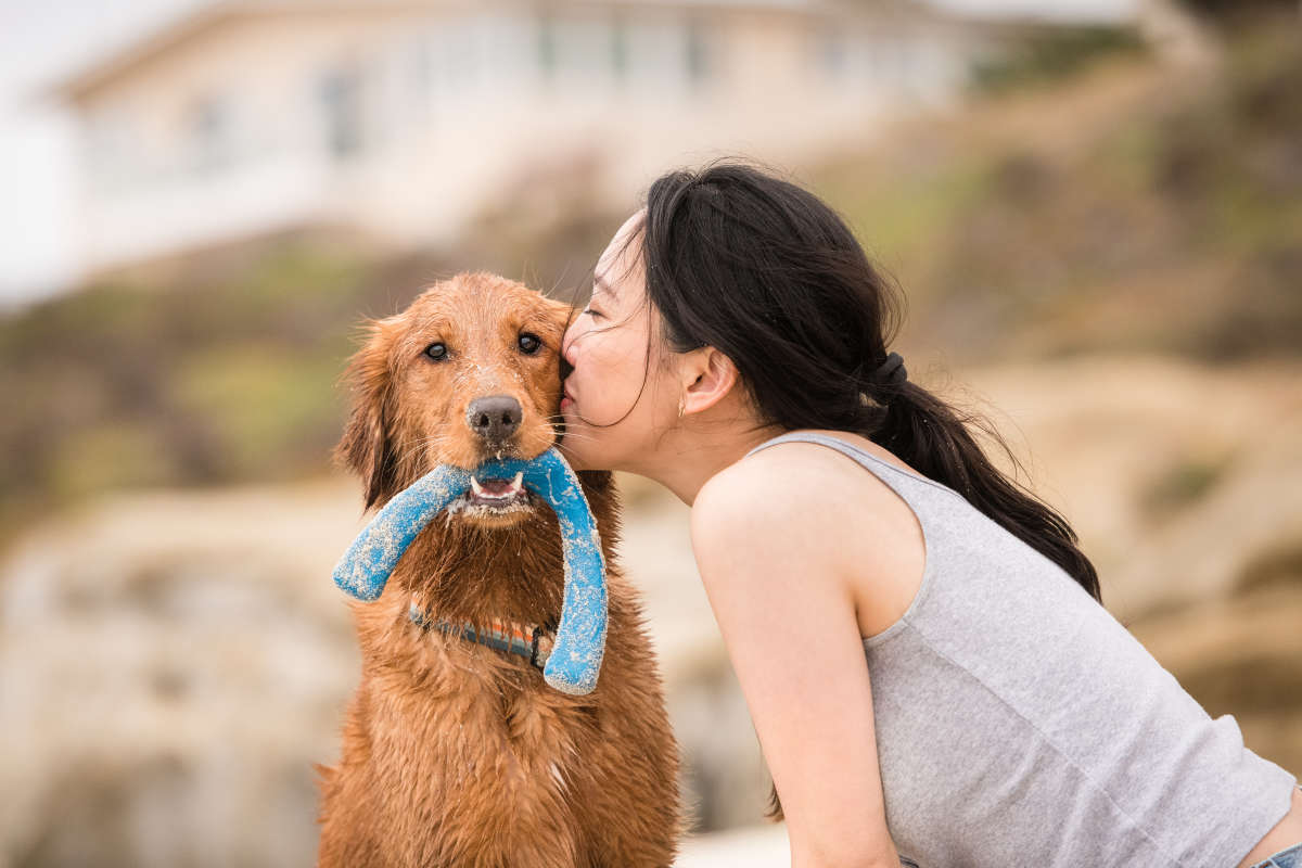 Snorkl® Interactive Tug and Fetch Dog Toy made from Ocean-Bound Recycled Plastic - Image 6