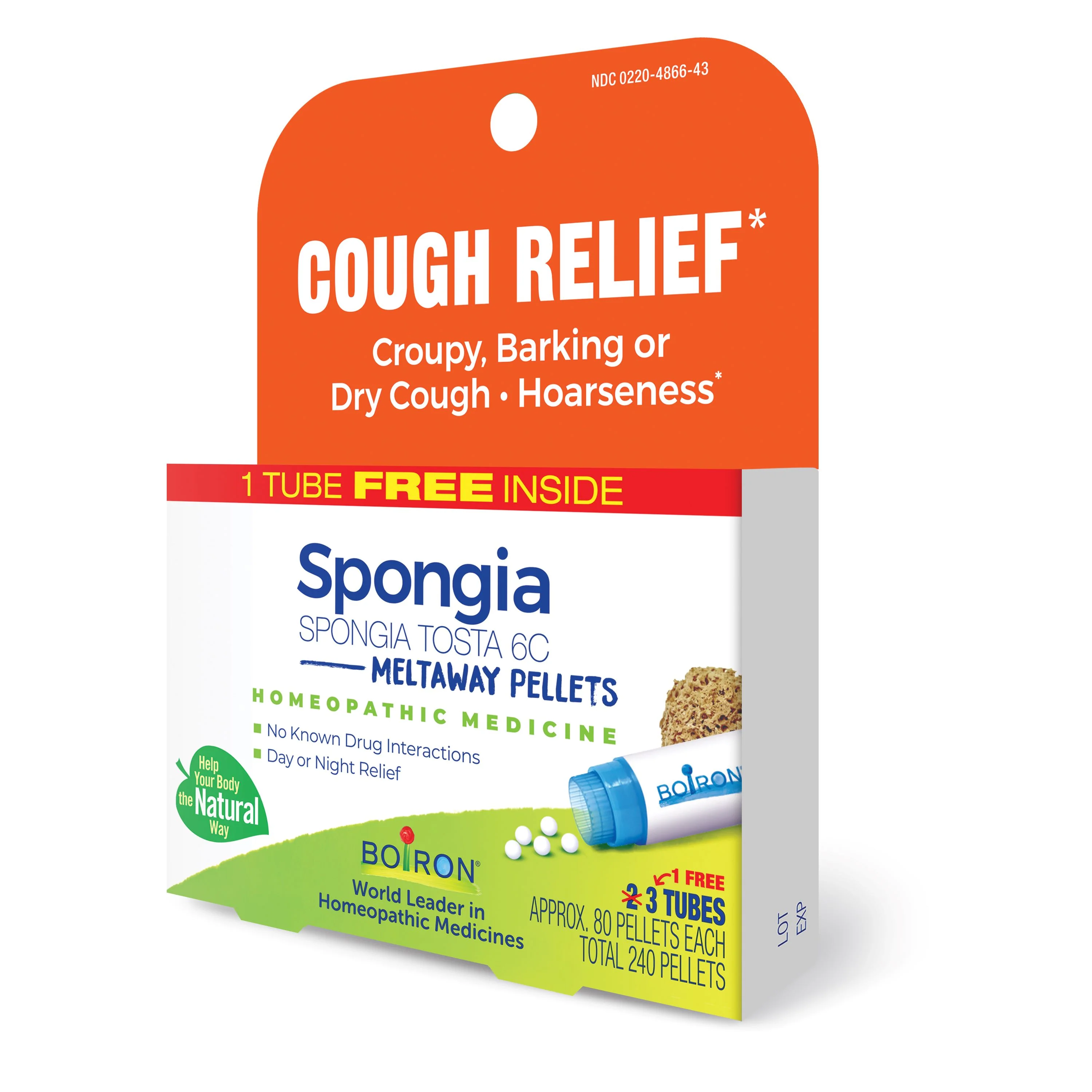 Spongia Tosta 6C Bonus Pack - Image 5