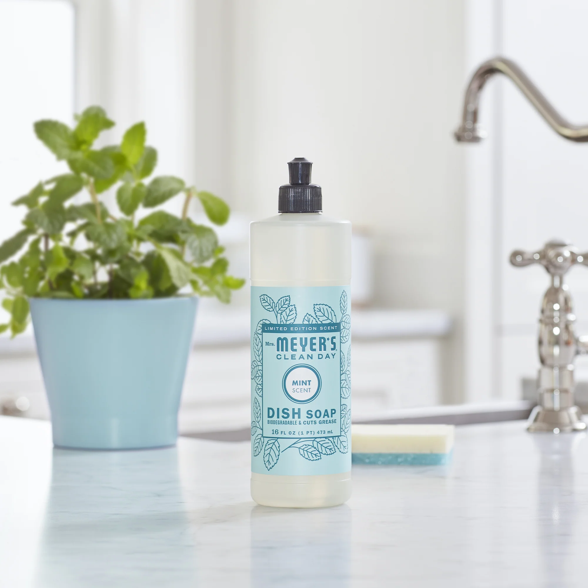 Dish Soap Spring Collection - Image 13