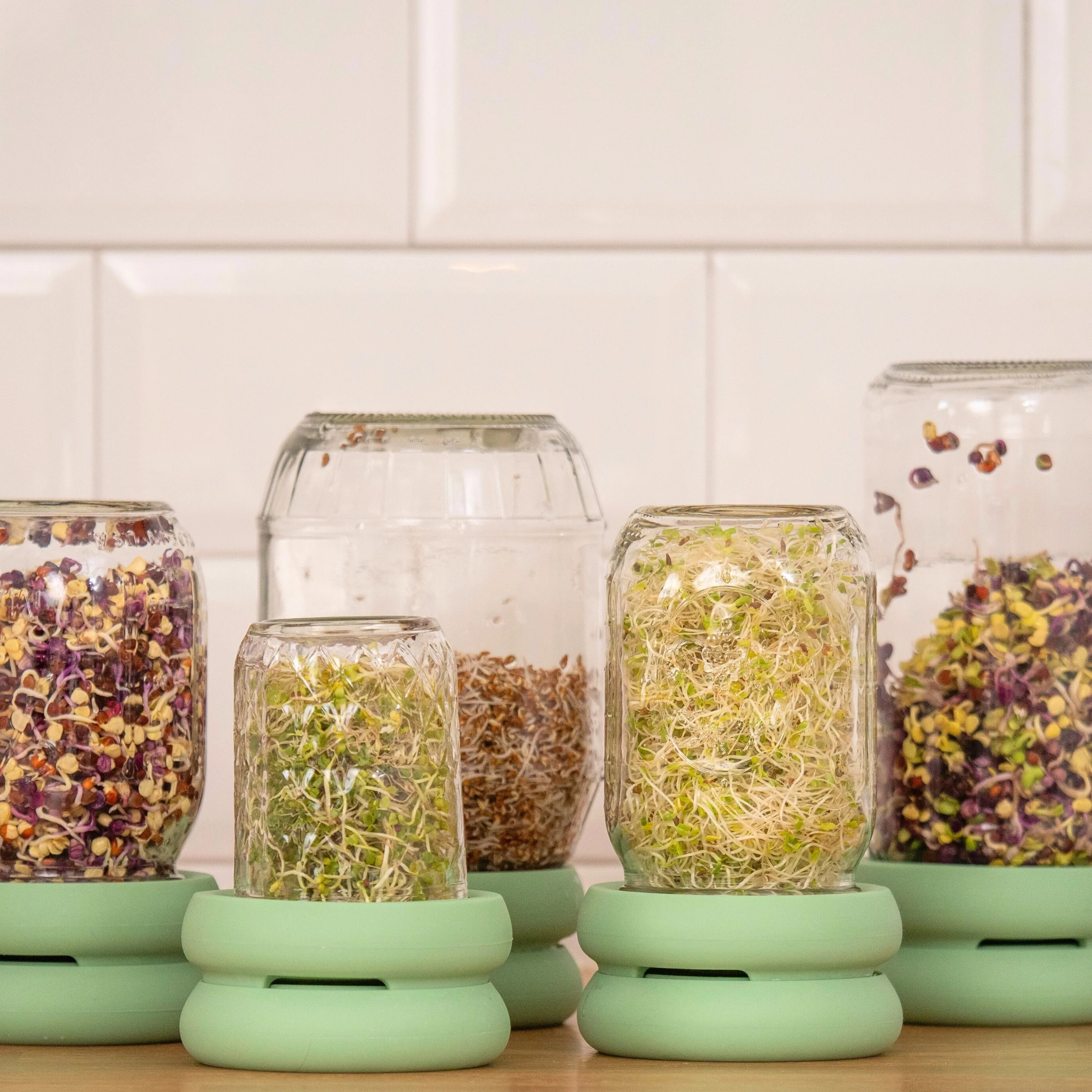Sprout Huggers - Image 5