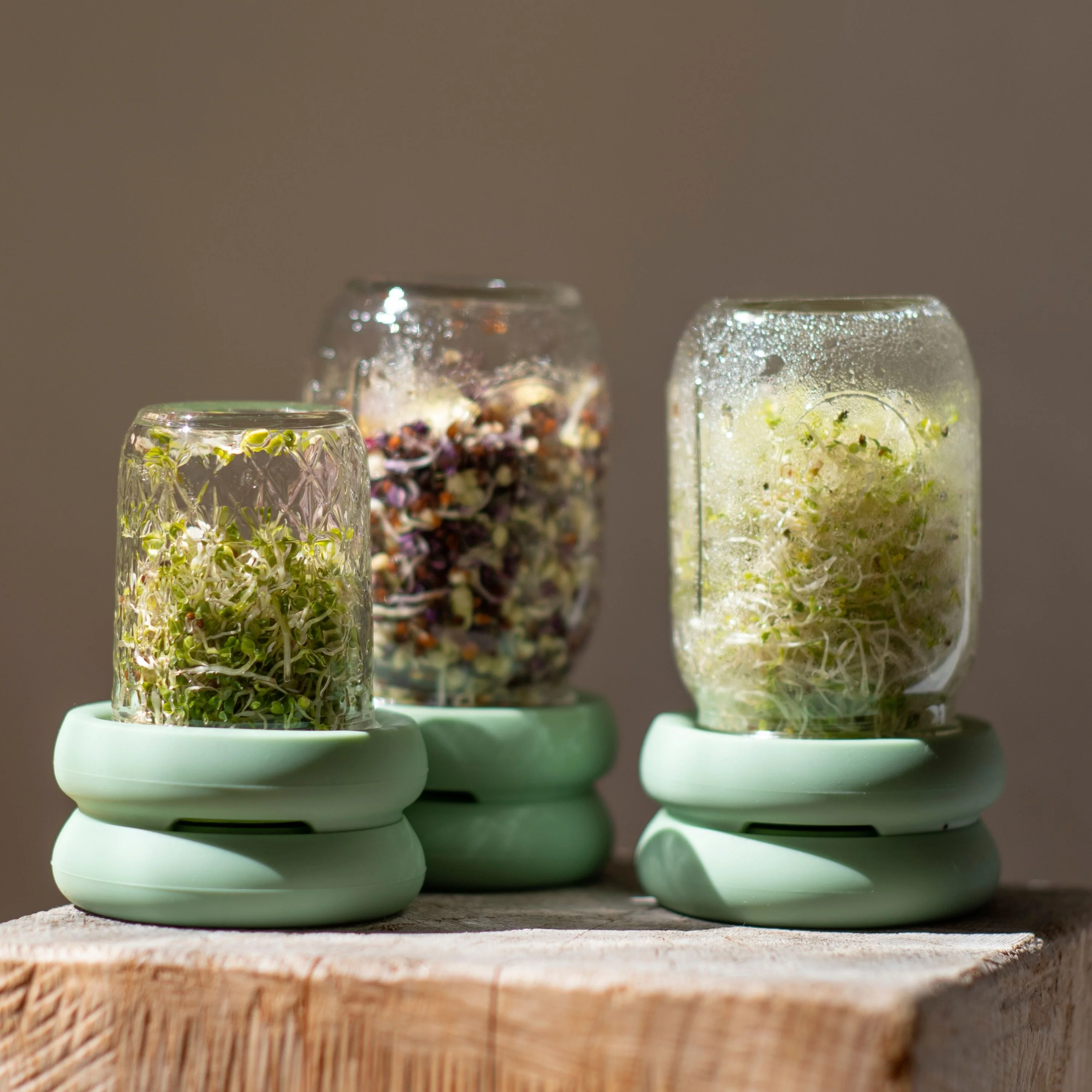 Sprout Huggers - Image 6