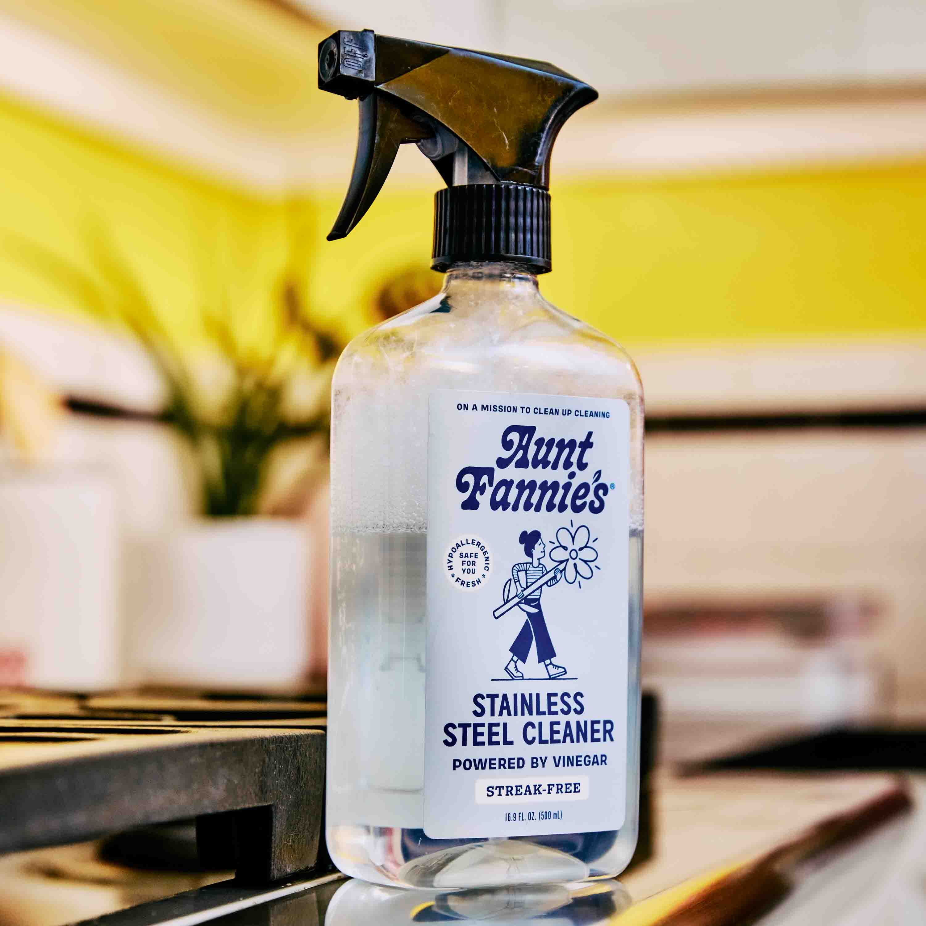 Stainless Steel Cleaner - Image 5