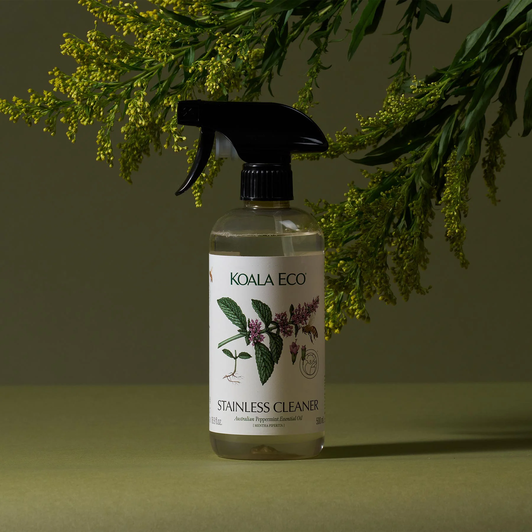 Stainless Steel Cleaner - Image 3