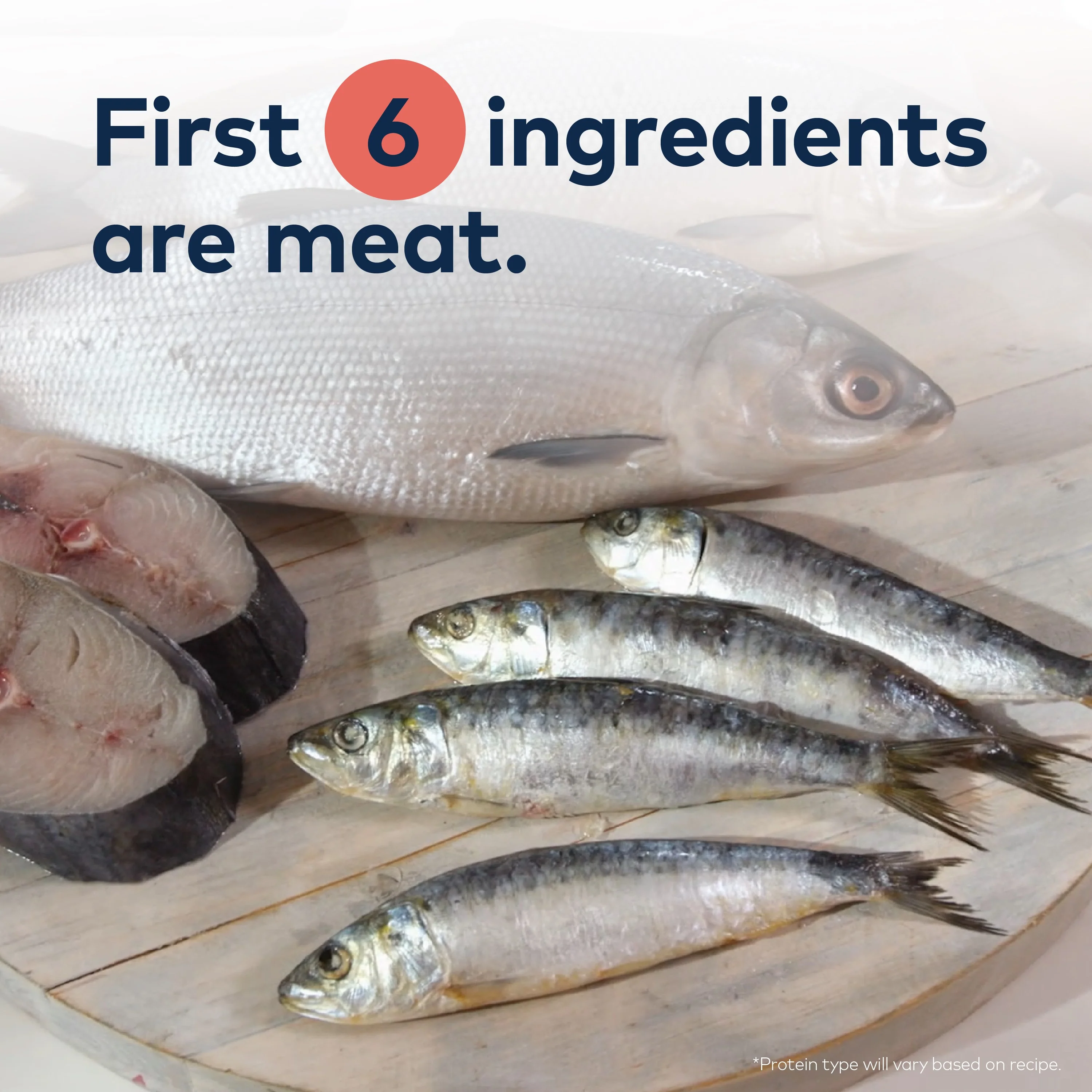 Steam & Dried Cat Food - Cage-Free Chicken w/ Mackerel – High Protein, Skin & Coat Health, Low Carb, for All Life Stages - Image 3
