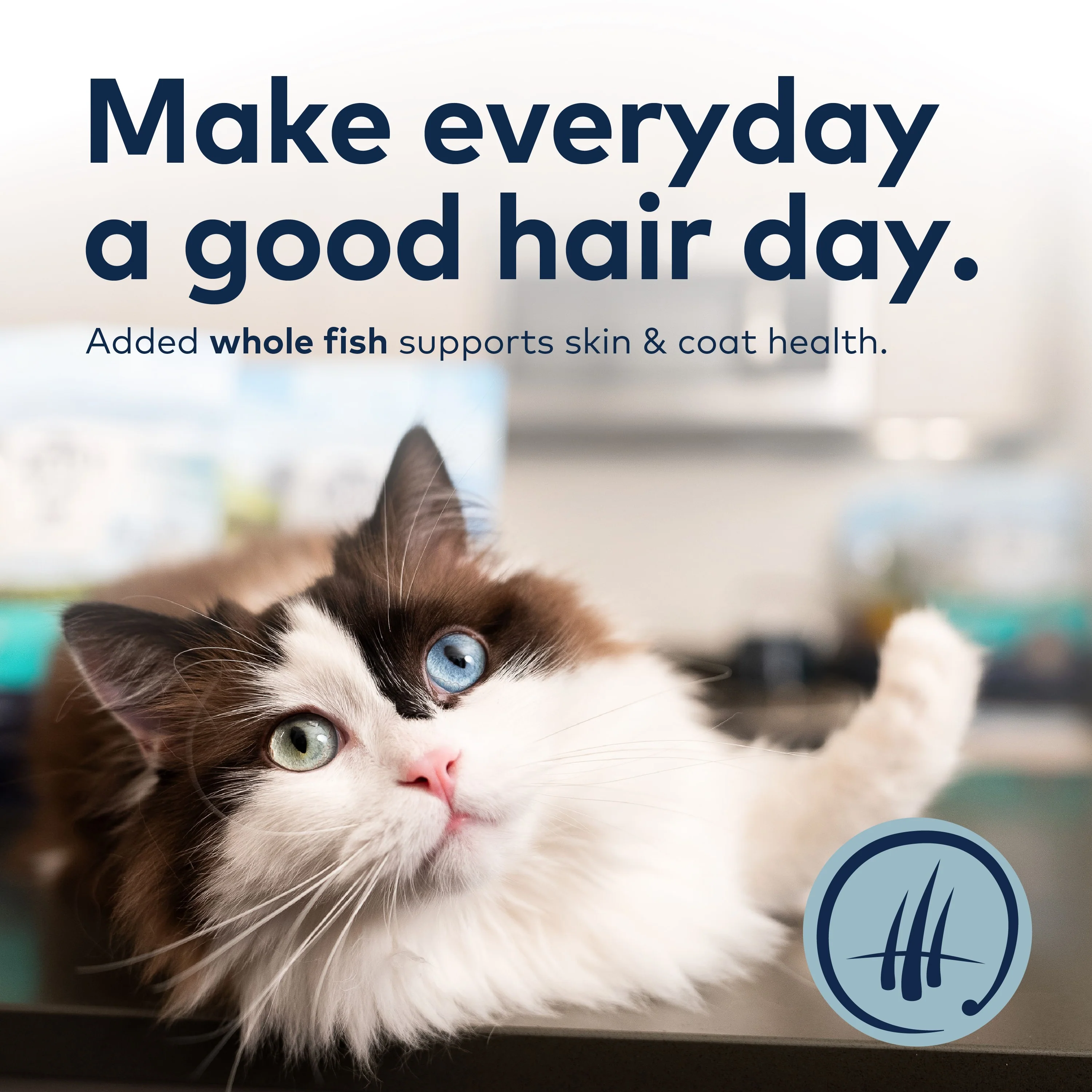 Steam & Dried Cat Food - Wild South Fish – High Protein, Skin & Coat Health, Low Carb, for All Life Stages - Image 4