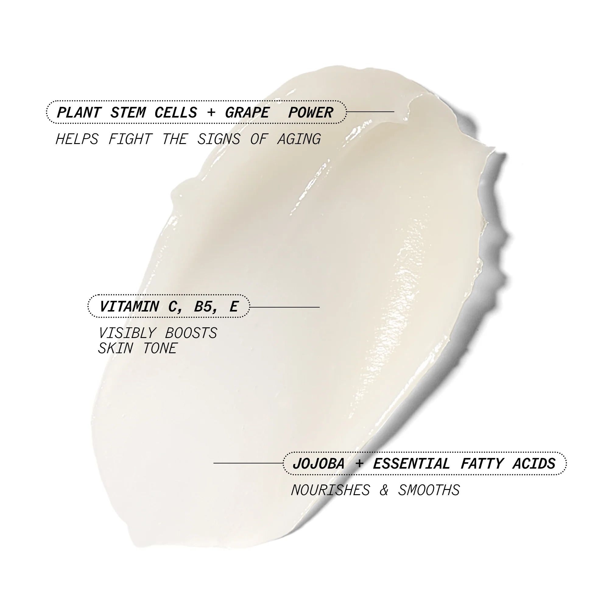 Stem Cellular Anti-Wrinkle Booster Serum - Image 2