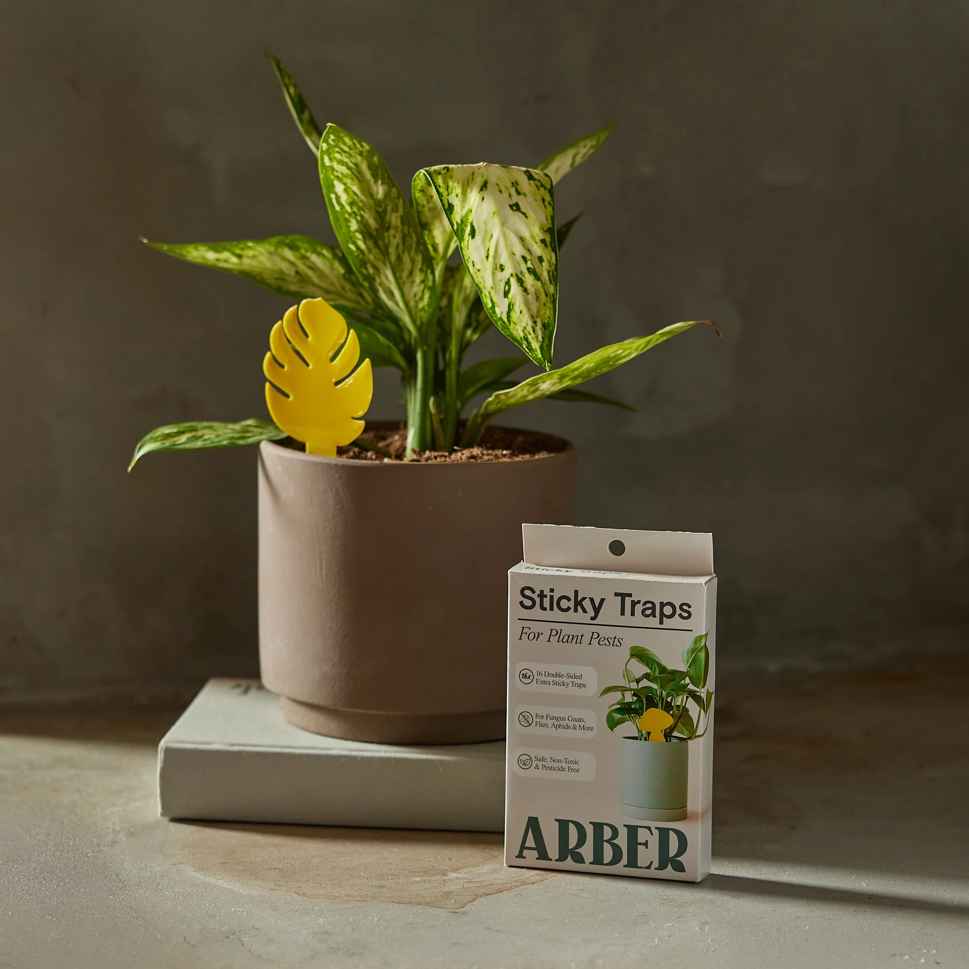 Sticky Traps to Trap Indoor and Greenhouse Pests - Image 4