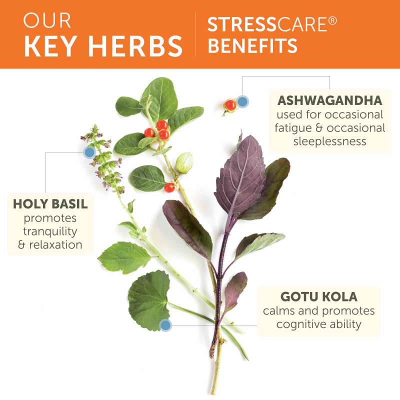 Stress Care - Image 3