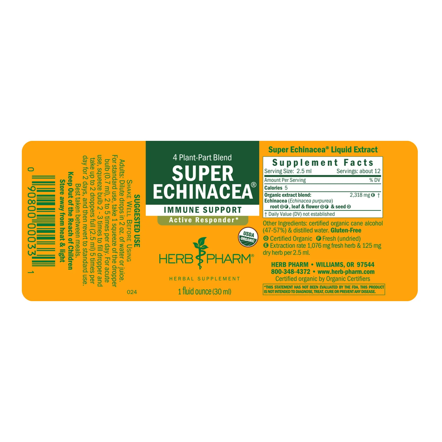 Super Echinacea - Image 2