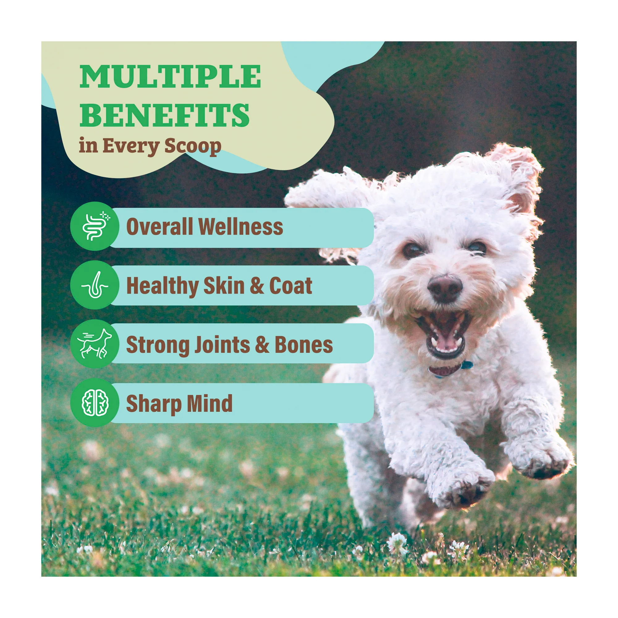 Super Greens Superfood Granules - Image 6