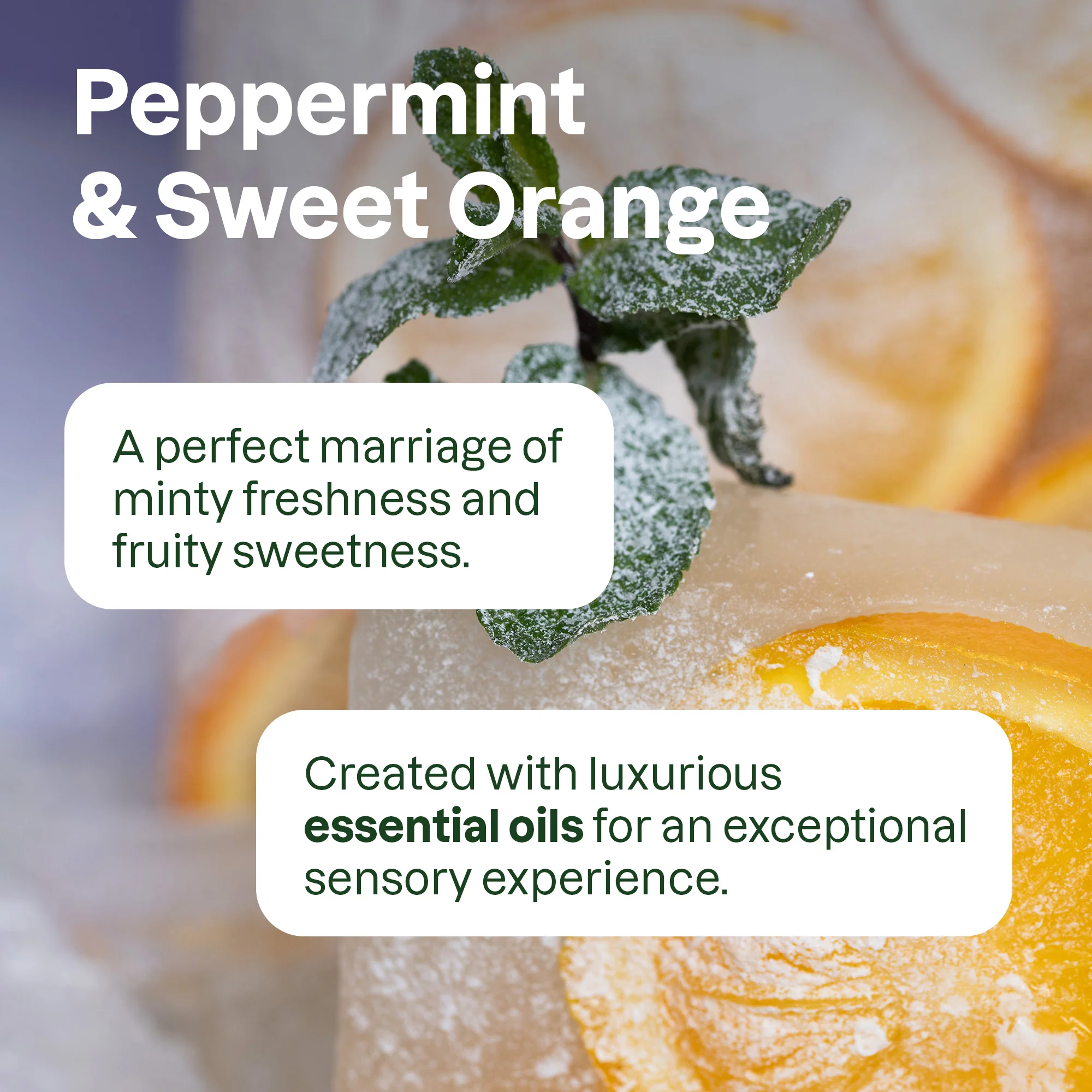 super leaves essential oils Shampoo Hydrating - Image 4