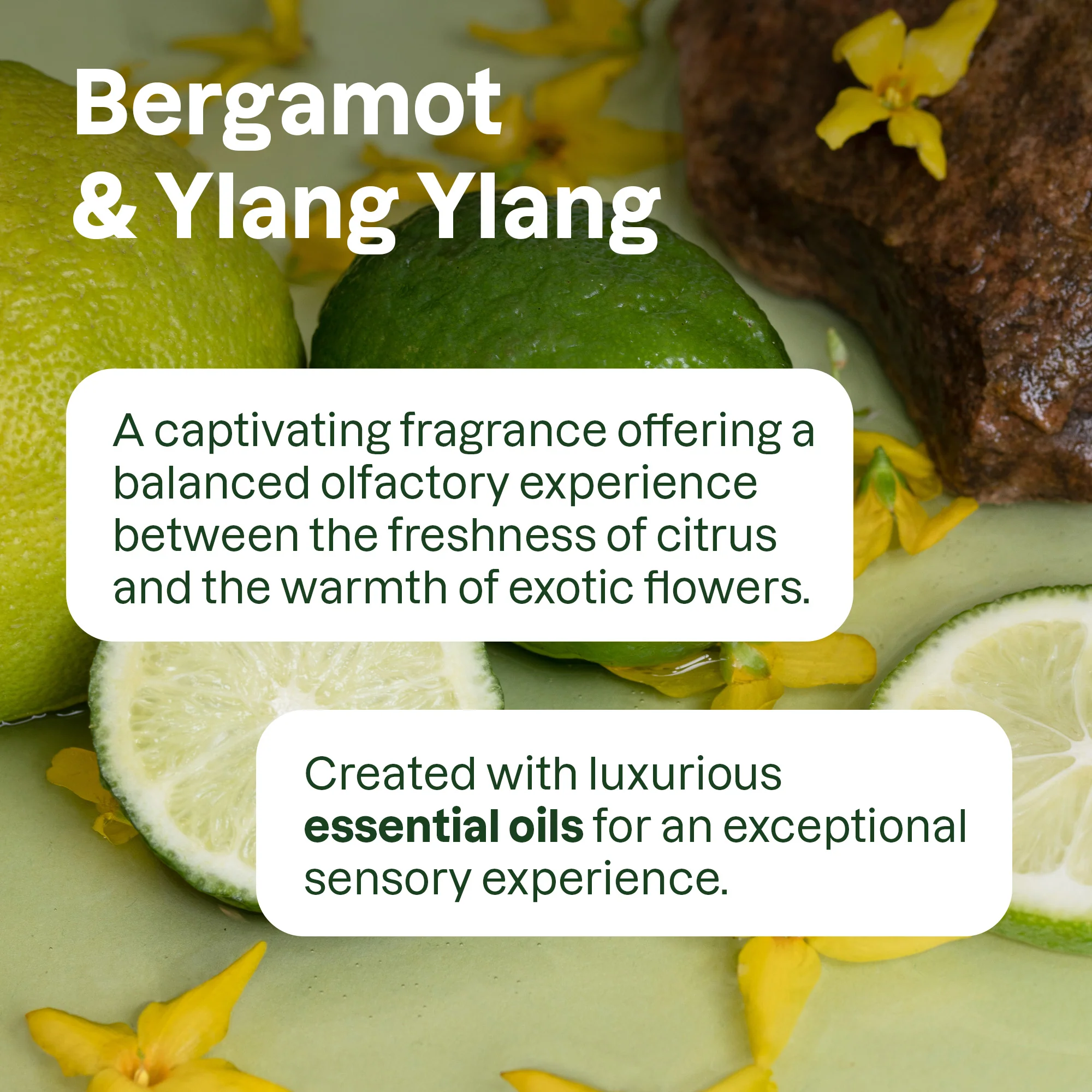 super leaves essential oils Shampoo Nourishing - Image 3