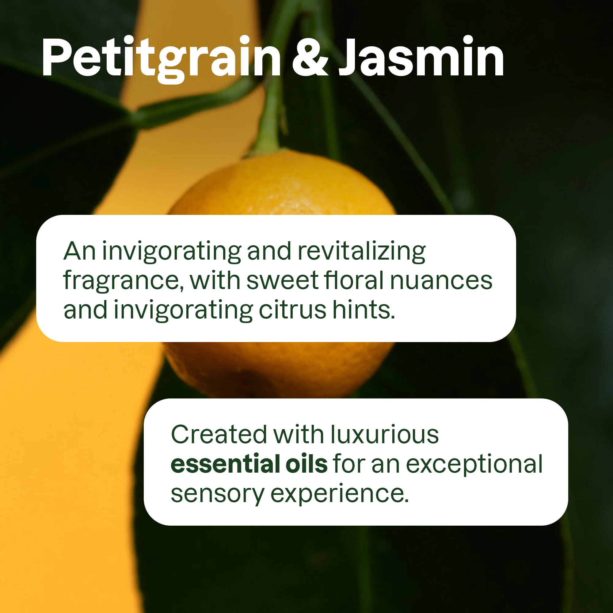 super leaves essential oils Shampoo Volumizing - Image 4
