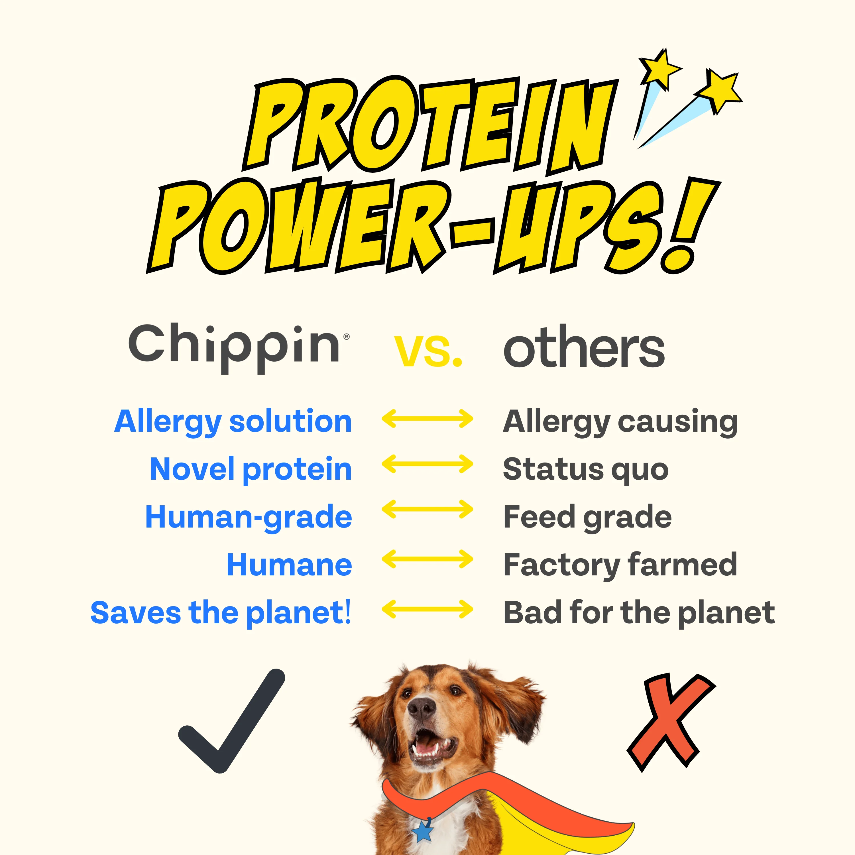 Superfood Cricket & Peanut Butter Dog Treats - Image 9