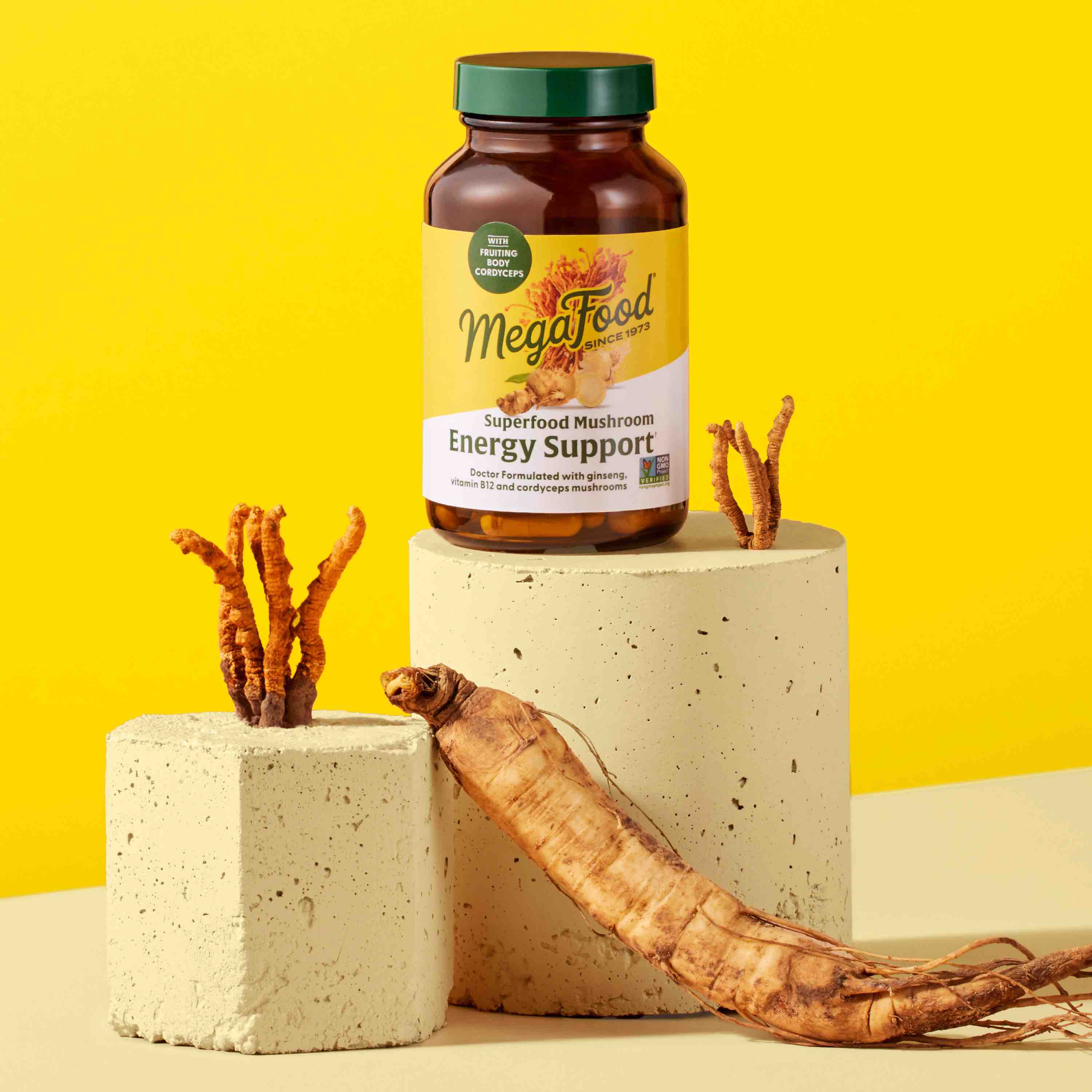 Superfood Mushroom - Energy Support - Image 3